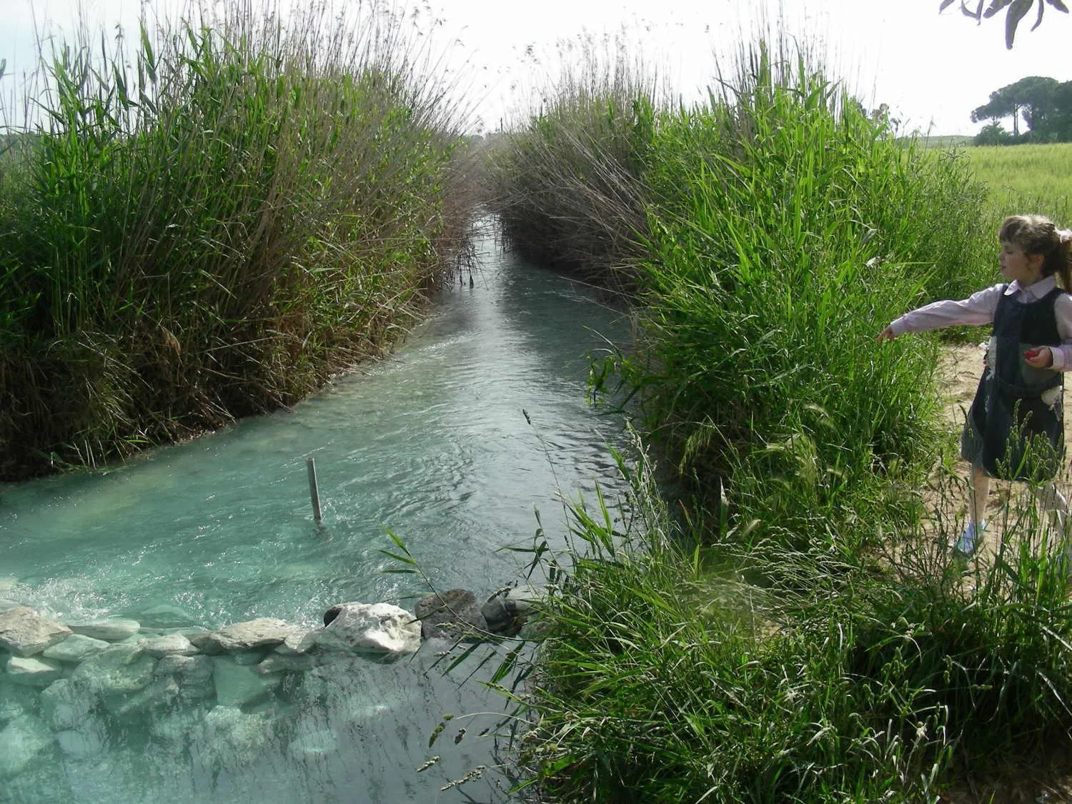 Area and facilities in Hotel Poggio Bertino