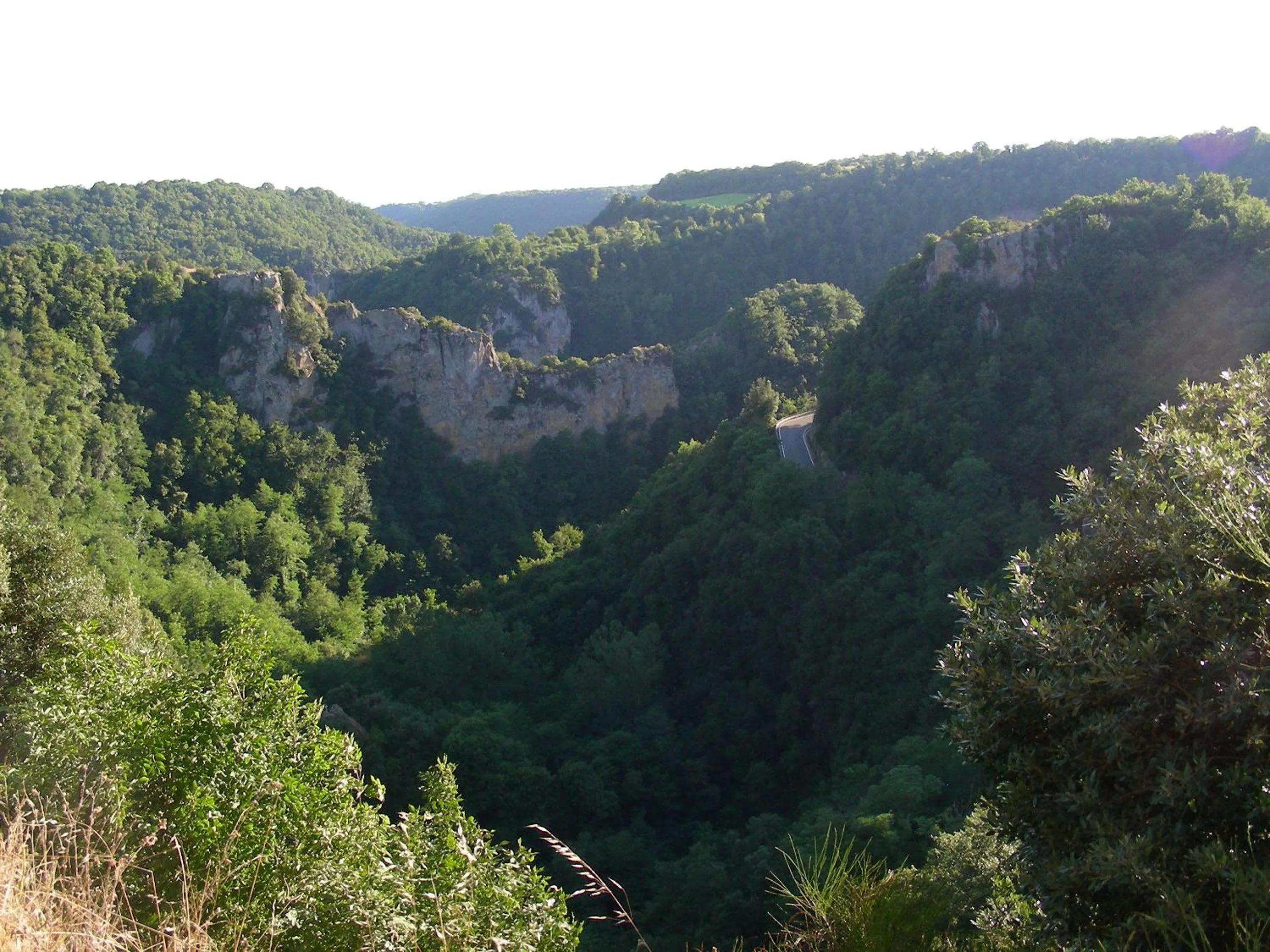 Area and facilities in Hotel Poggio Bertino