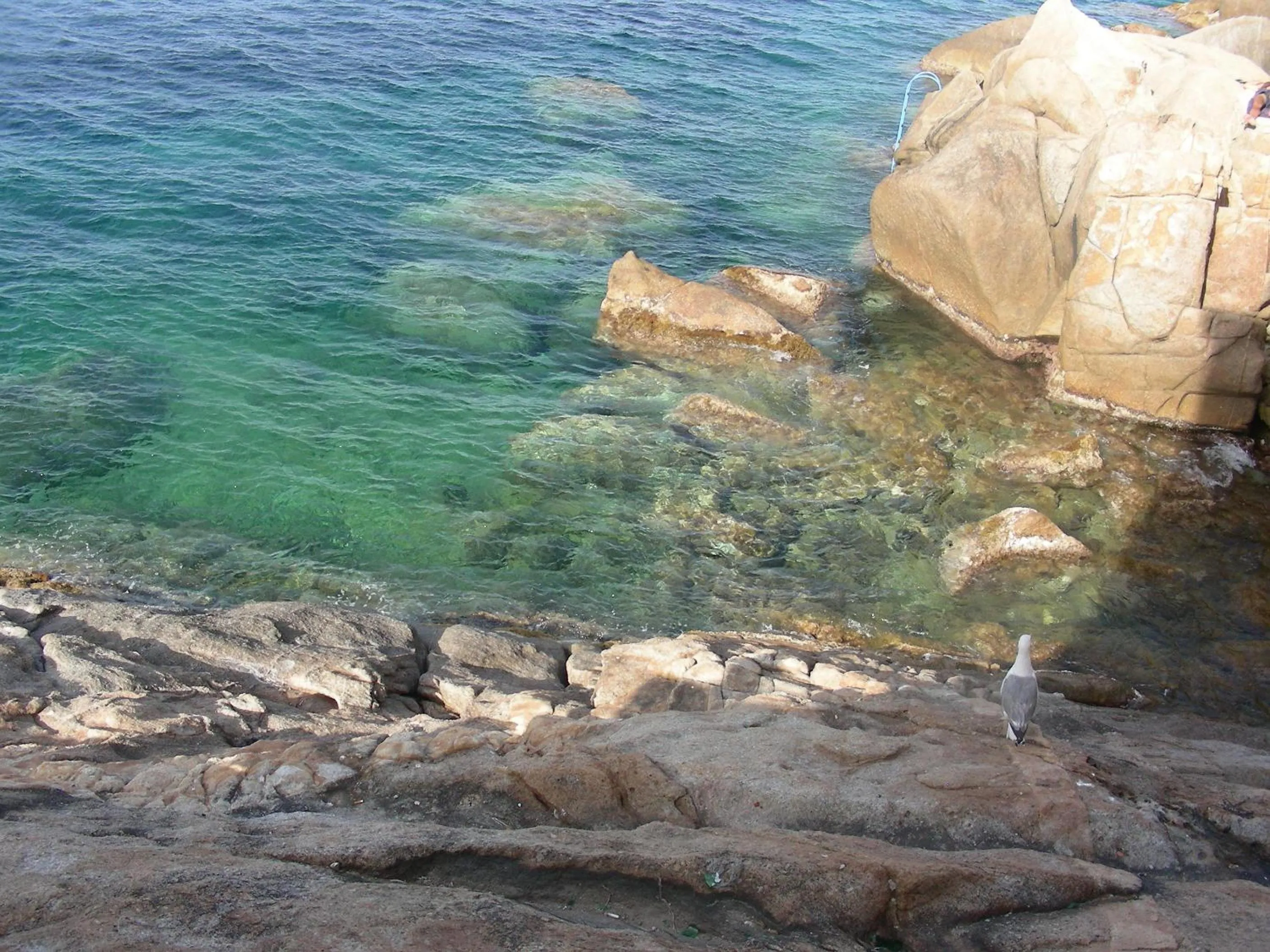 Other in Hotel Poggio Bertino