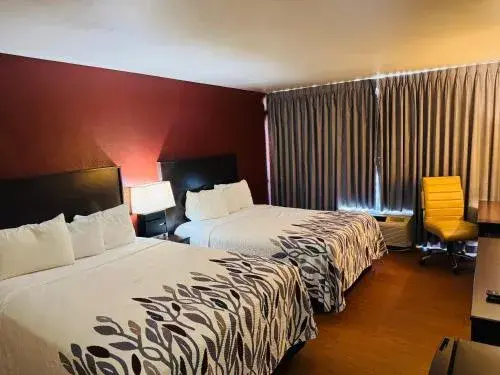 Lubbock Regency Inn Lubbock Regency Inn