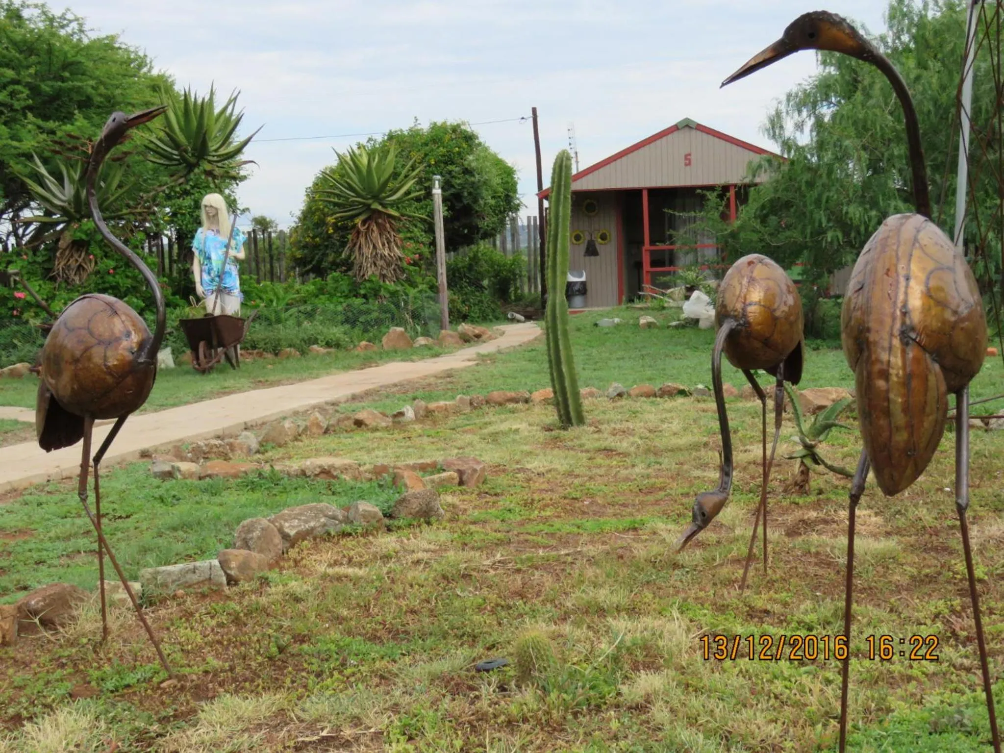 Garden view in Klein Paradys Lodge - Polokwane