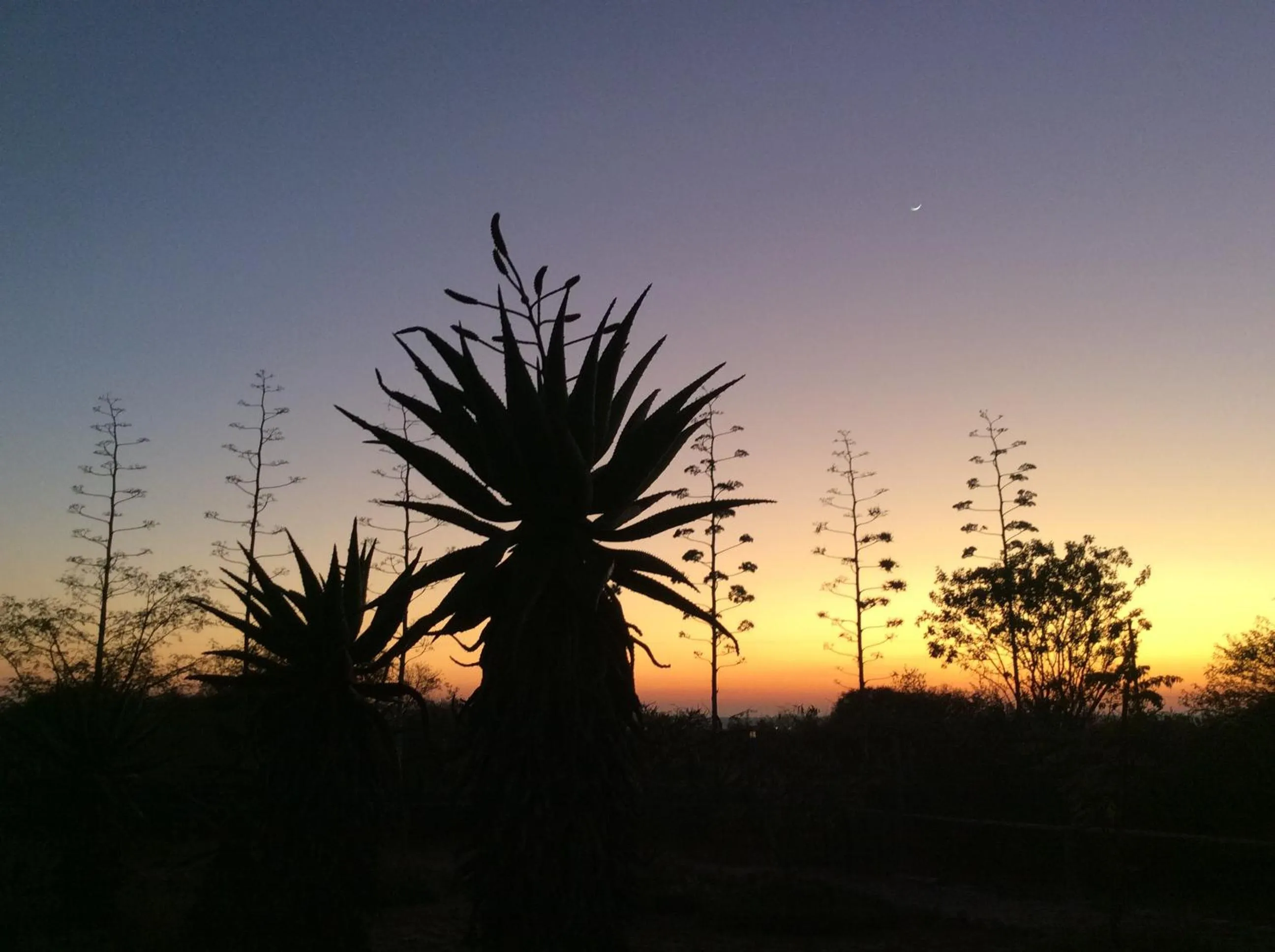 Natural landscape in Klein Paradys Lodge - Polokwane