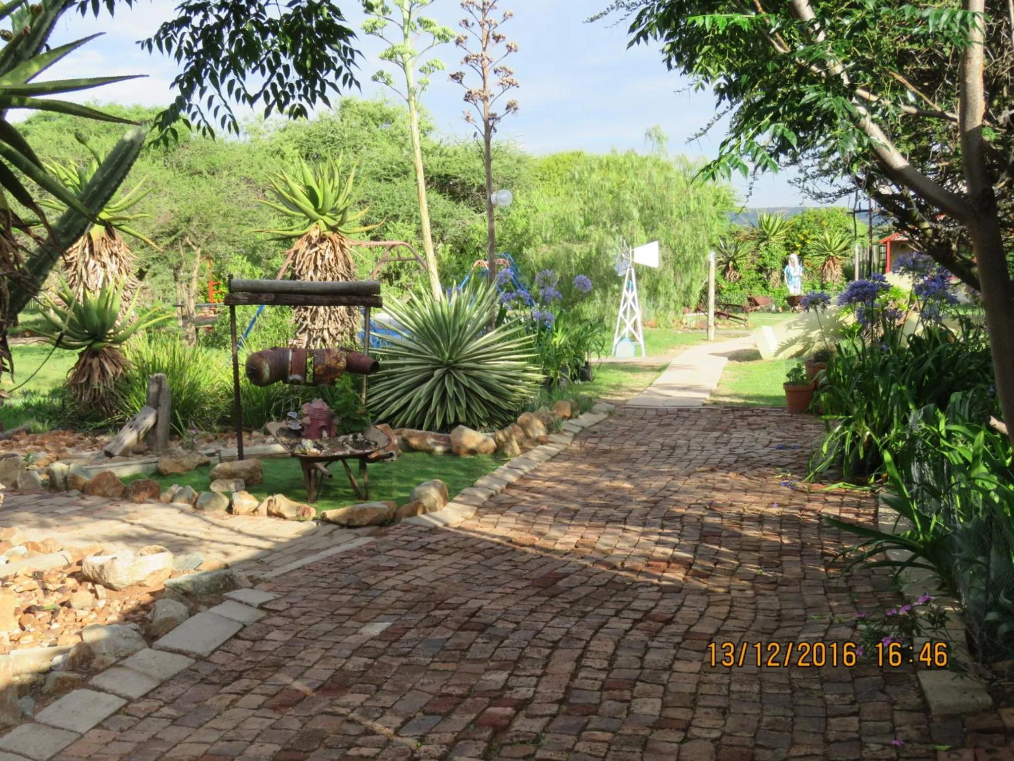 Garden view in Klein Paradys Lodge - Polokwane