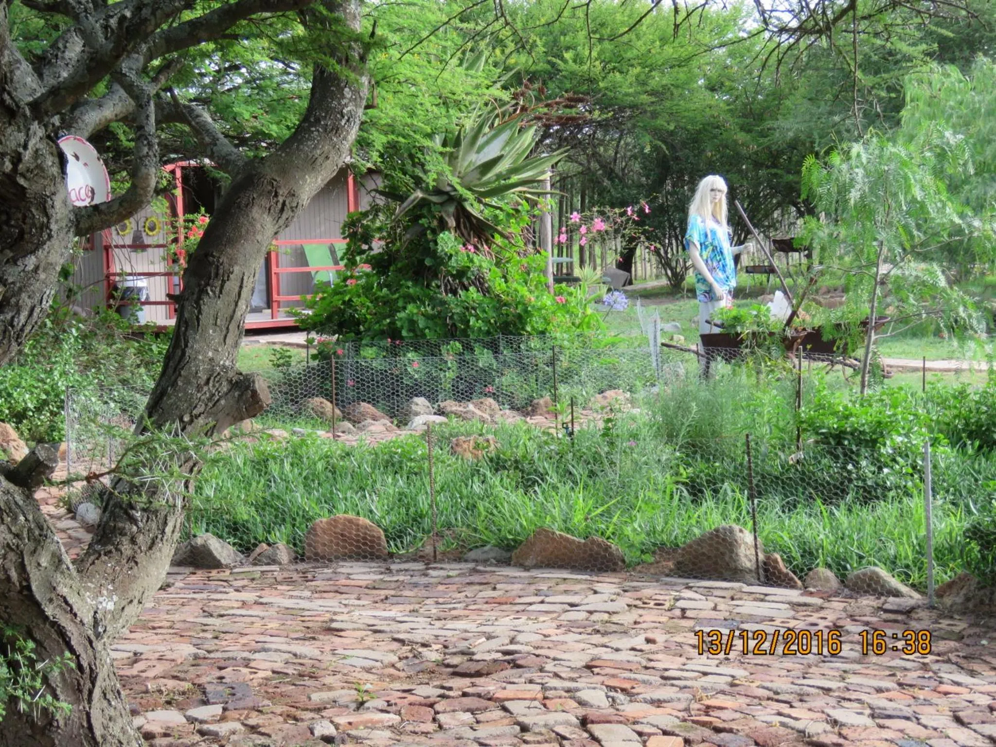 Garden view in Klein Paradys Lodge - Polokwane