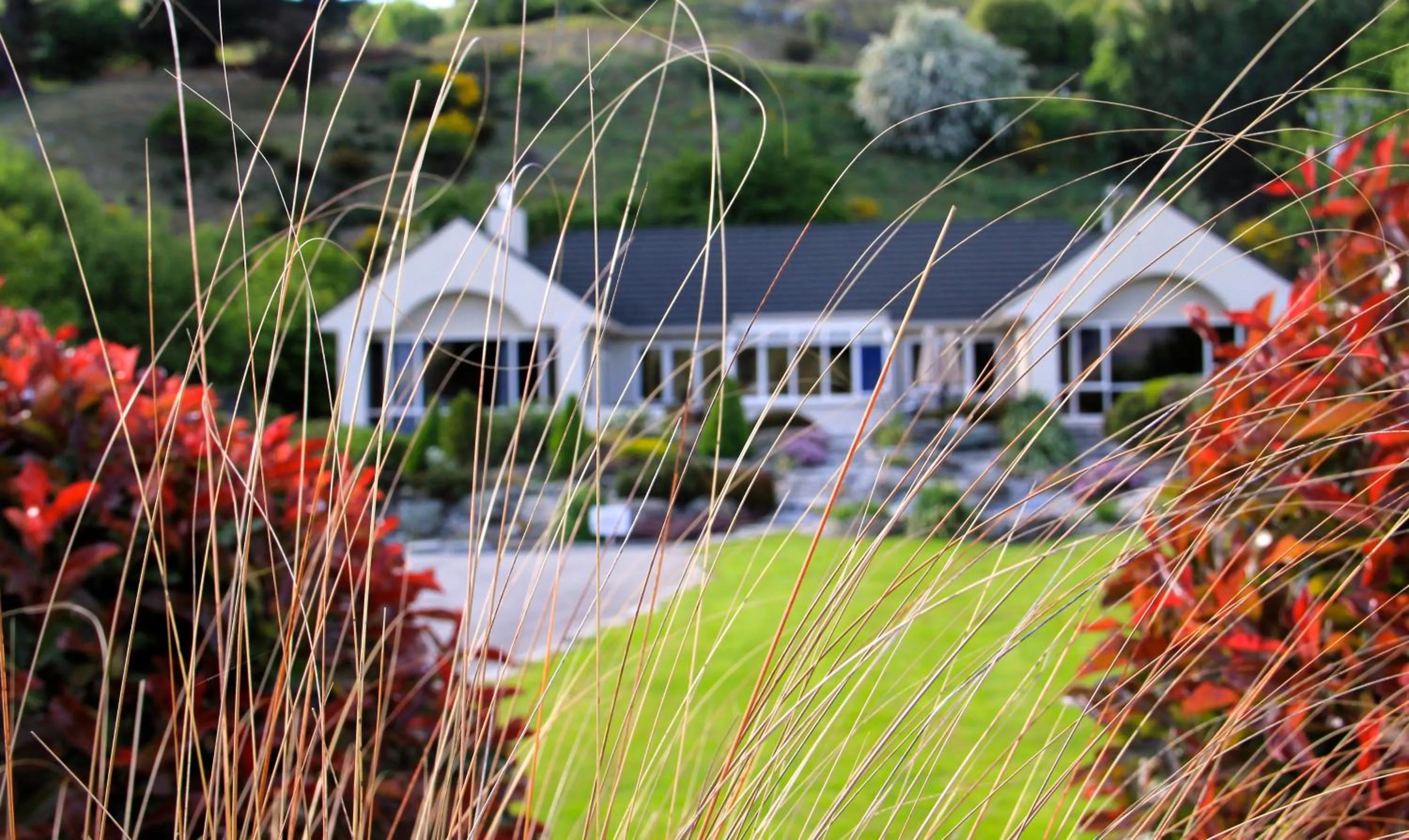 Bird's eye view in The Shan's Lodge