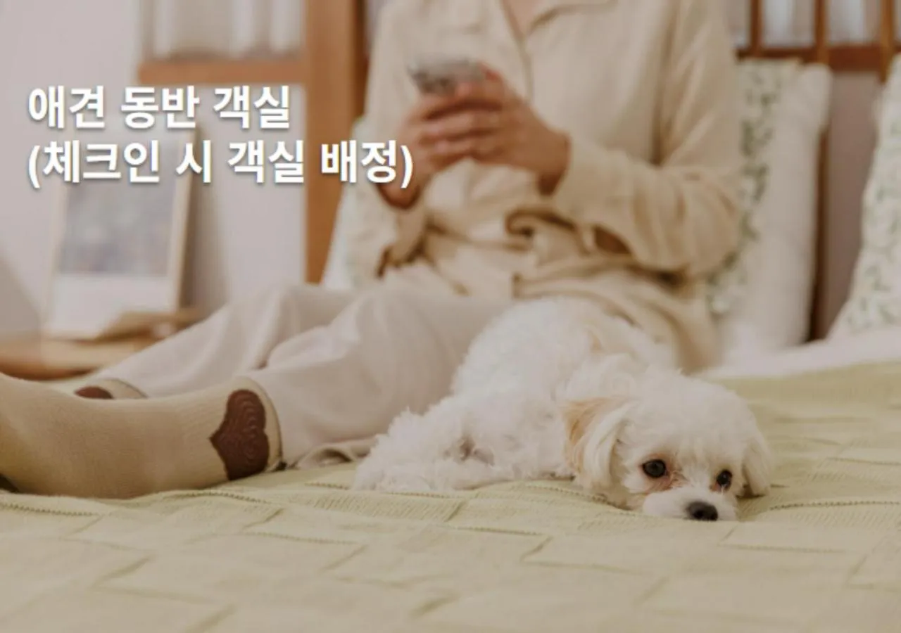 Text overlay in Mokpo New Evergreen Hotel