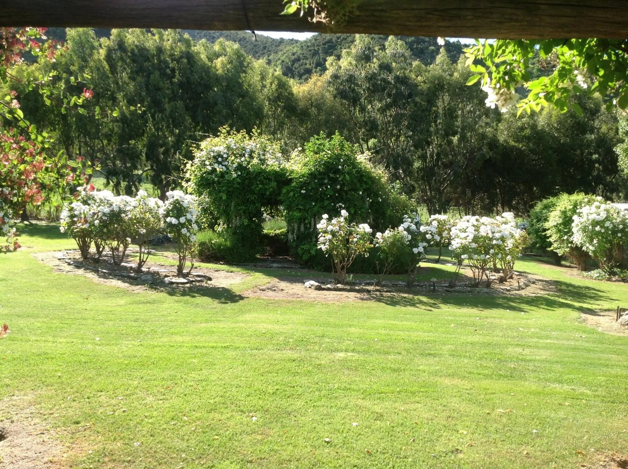 Garden view in Queensberry Inn