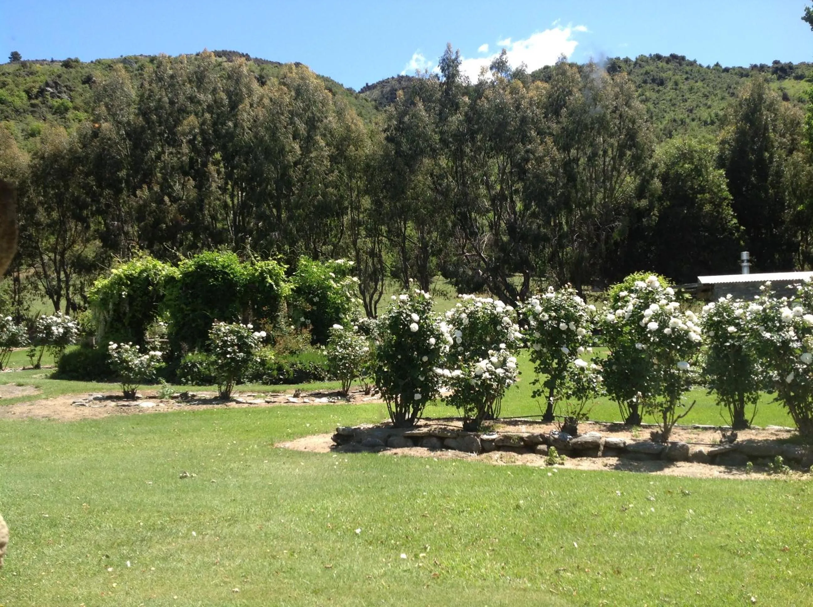 Garden view in Queensberry Inn