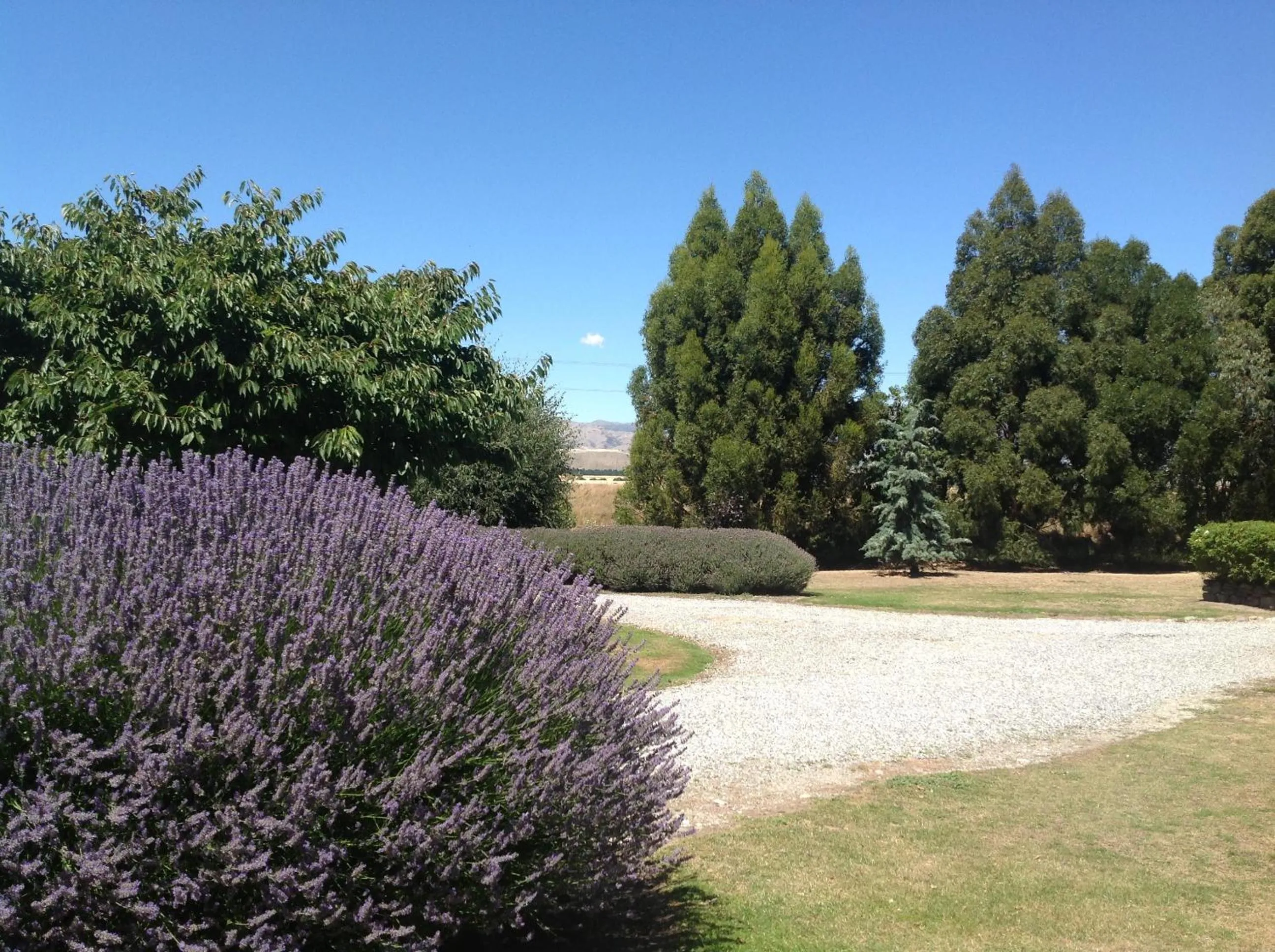 Garden view in Queensberry Inn