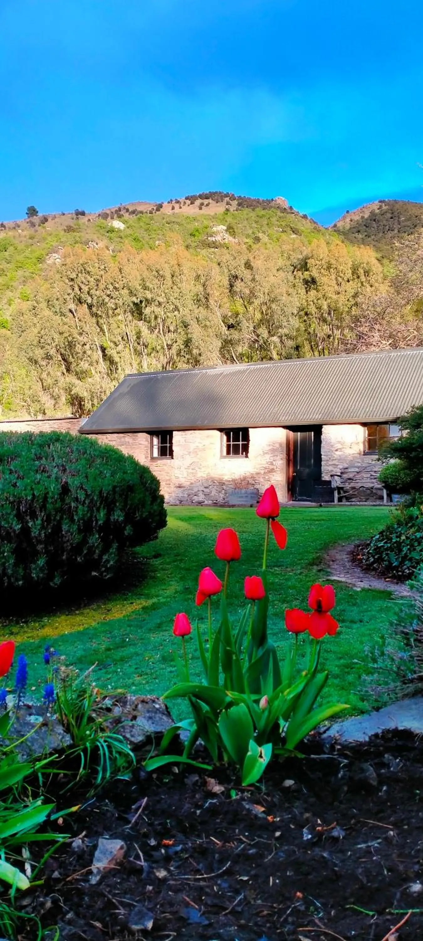 Property building in Queensberry Inn