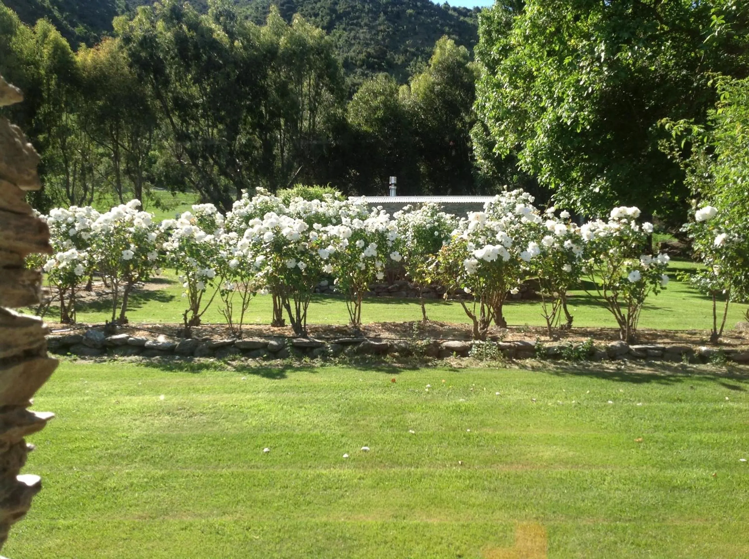Garden view in Queensberry Inn