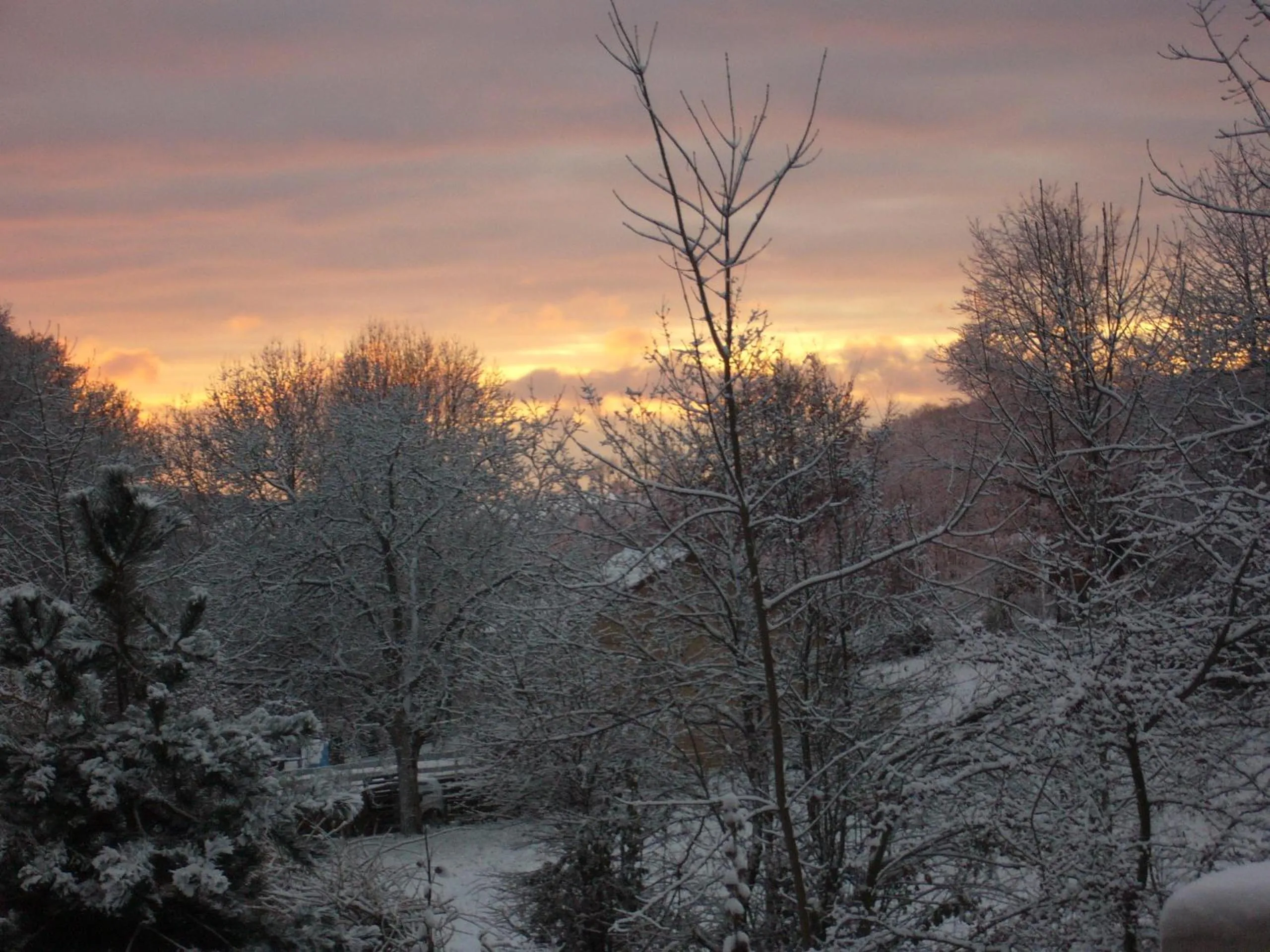 Winter in Le Jardin Ombragé