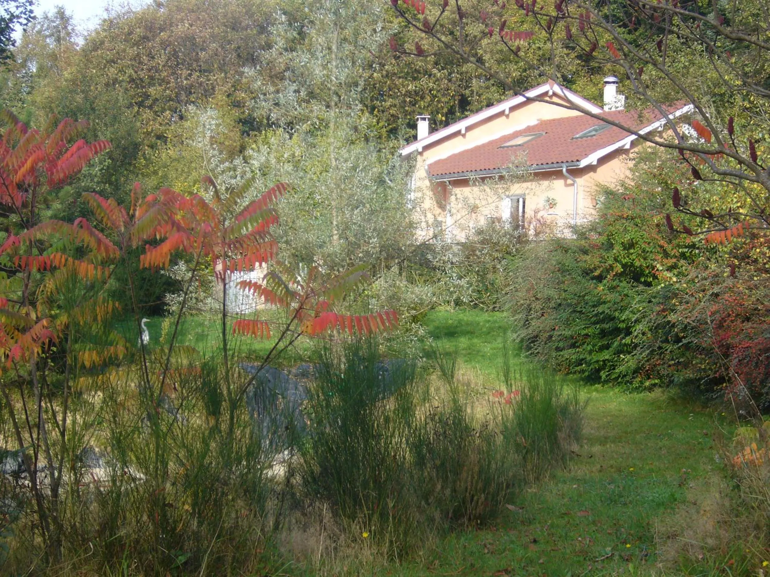 Garden view in Le Jardin Ombragé