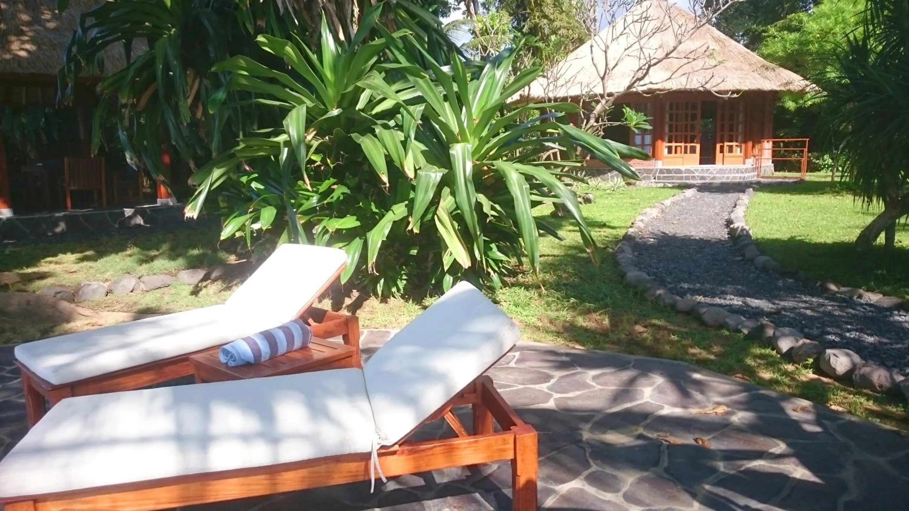 Garden in Ciliks Beach Garden