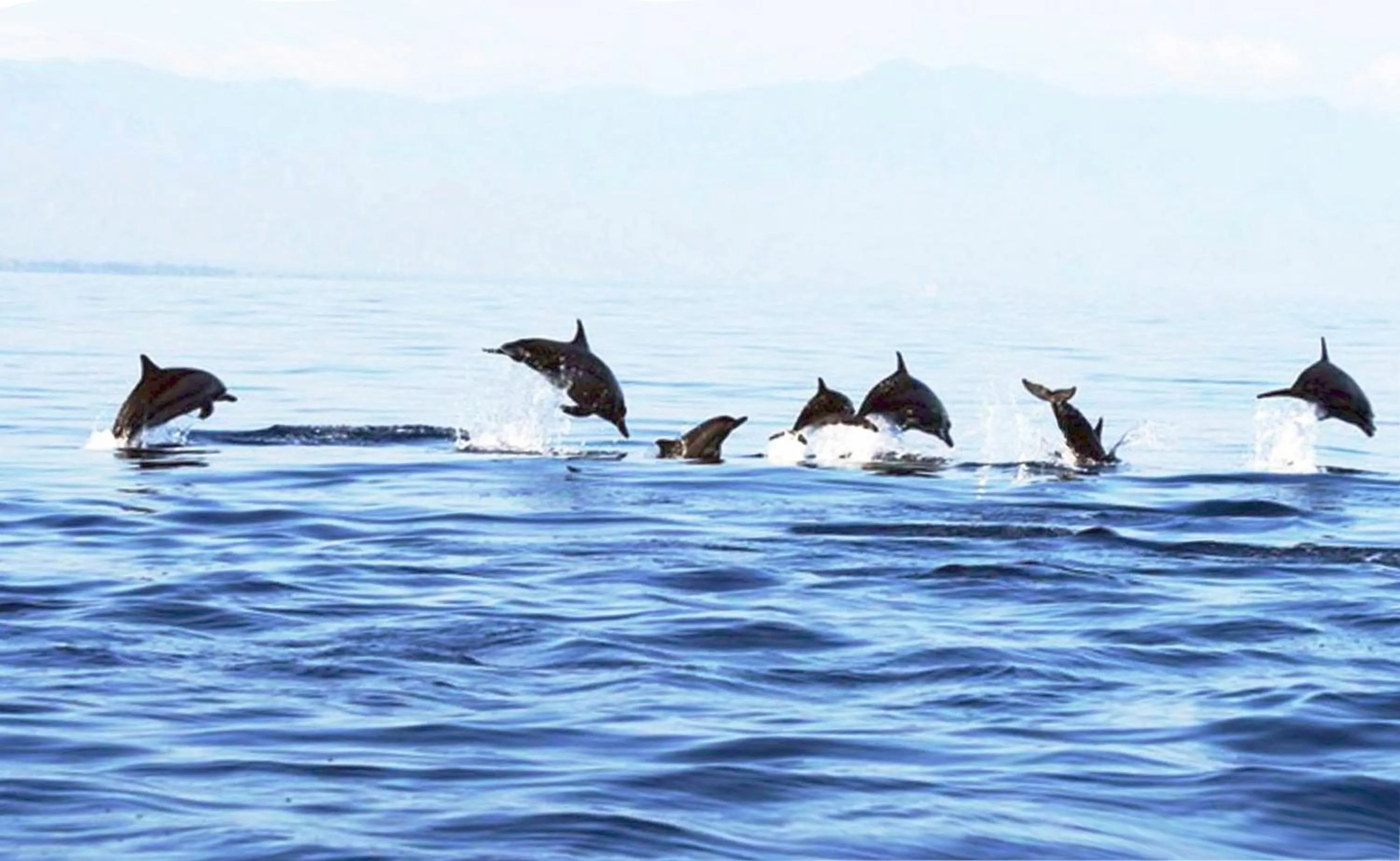 Snorkeling in Ciliks Beach Garden