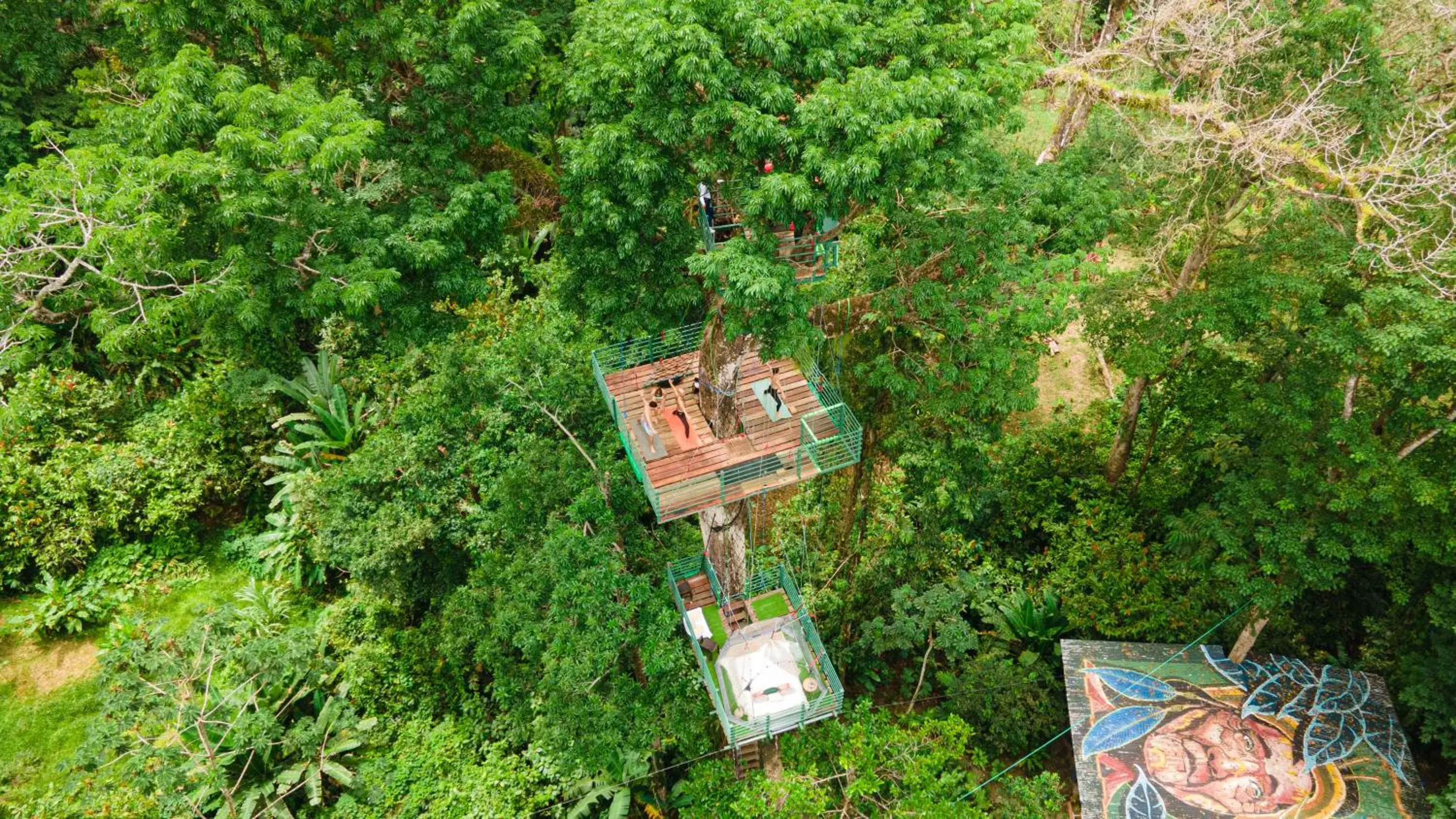 Ceibo Tree House Tent in The Green Jungle & Tree House Caribe Ceibo Tree House Tent in The Green Jungle & Tree House Caribe
