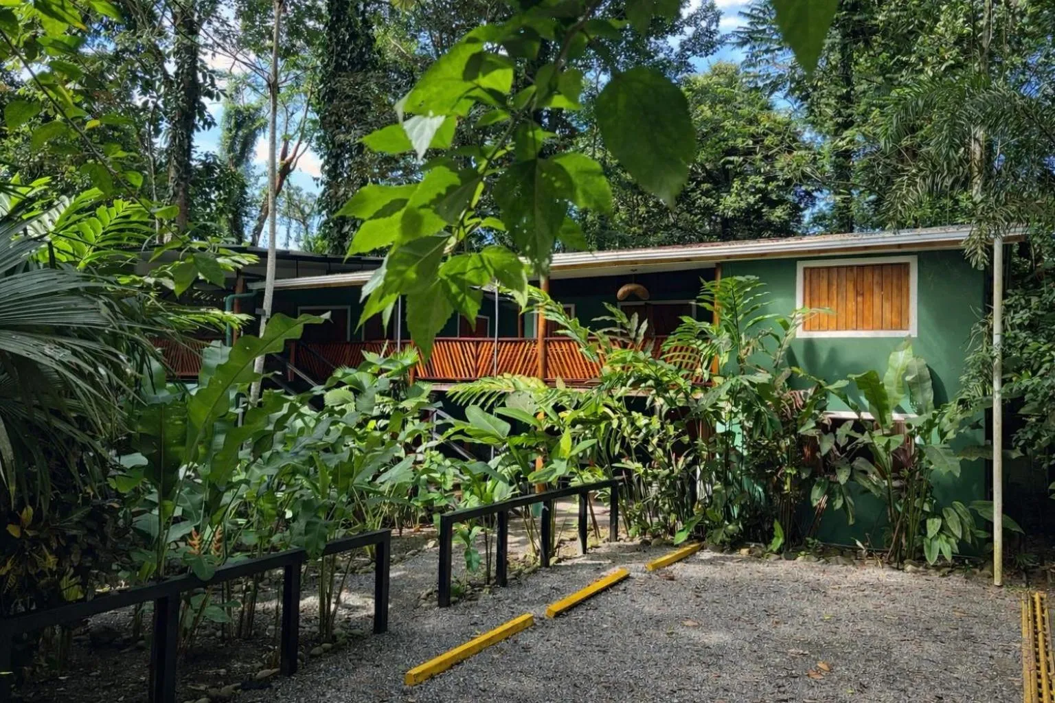 The Green Jungle & Tree House Caribe