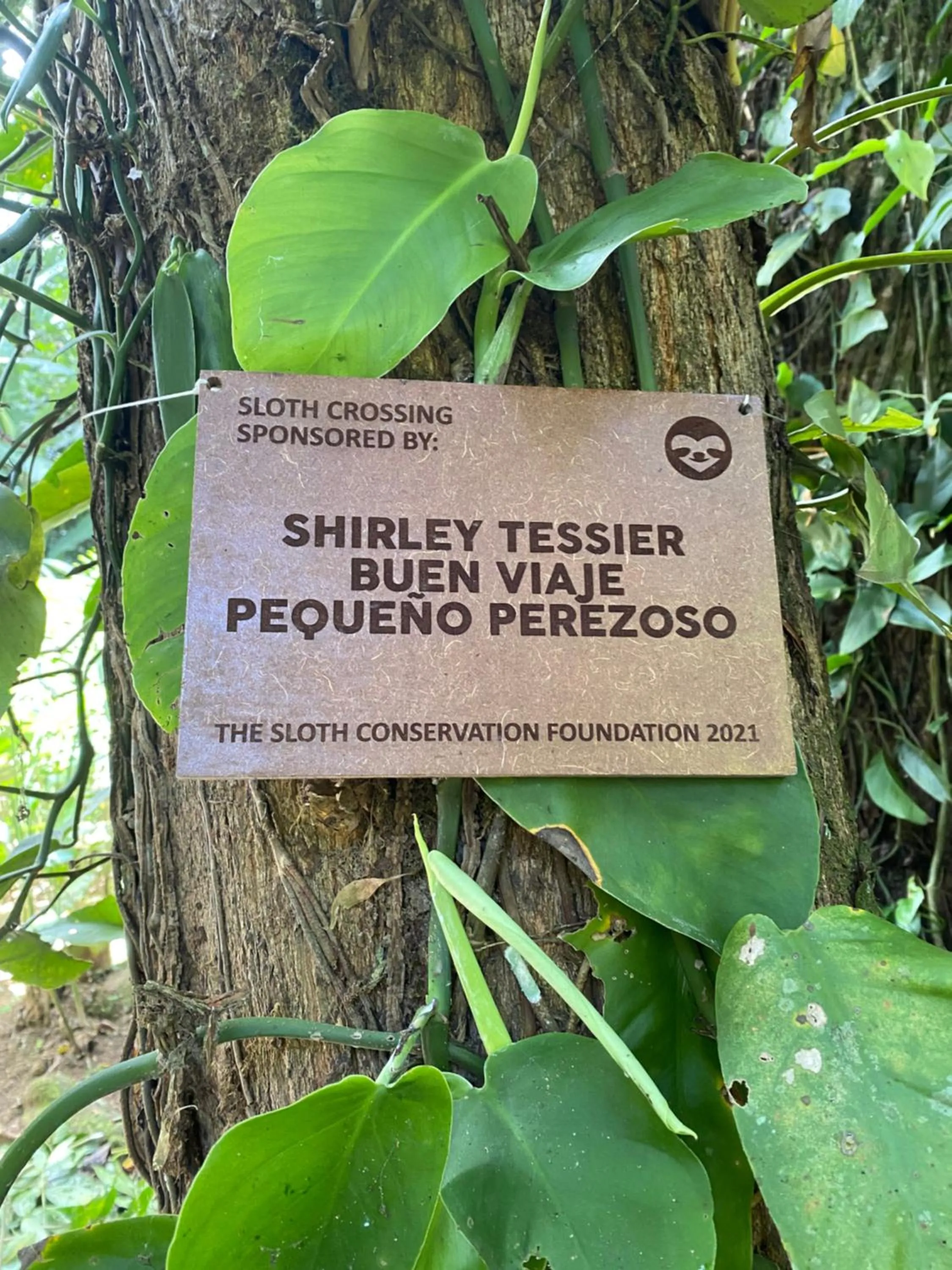 Logo/Certificate/Sign in The Green Jungle & Tree House Caribe