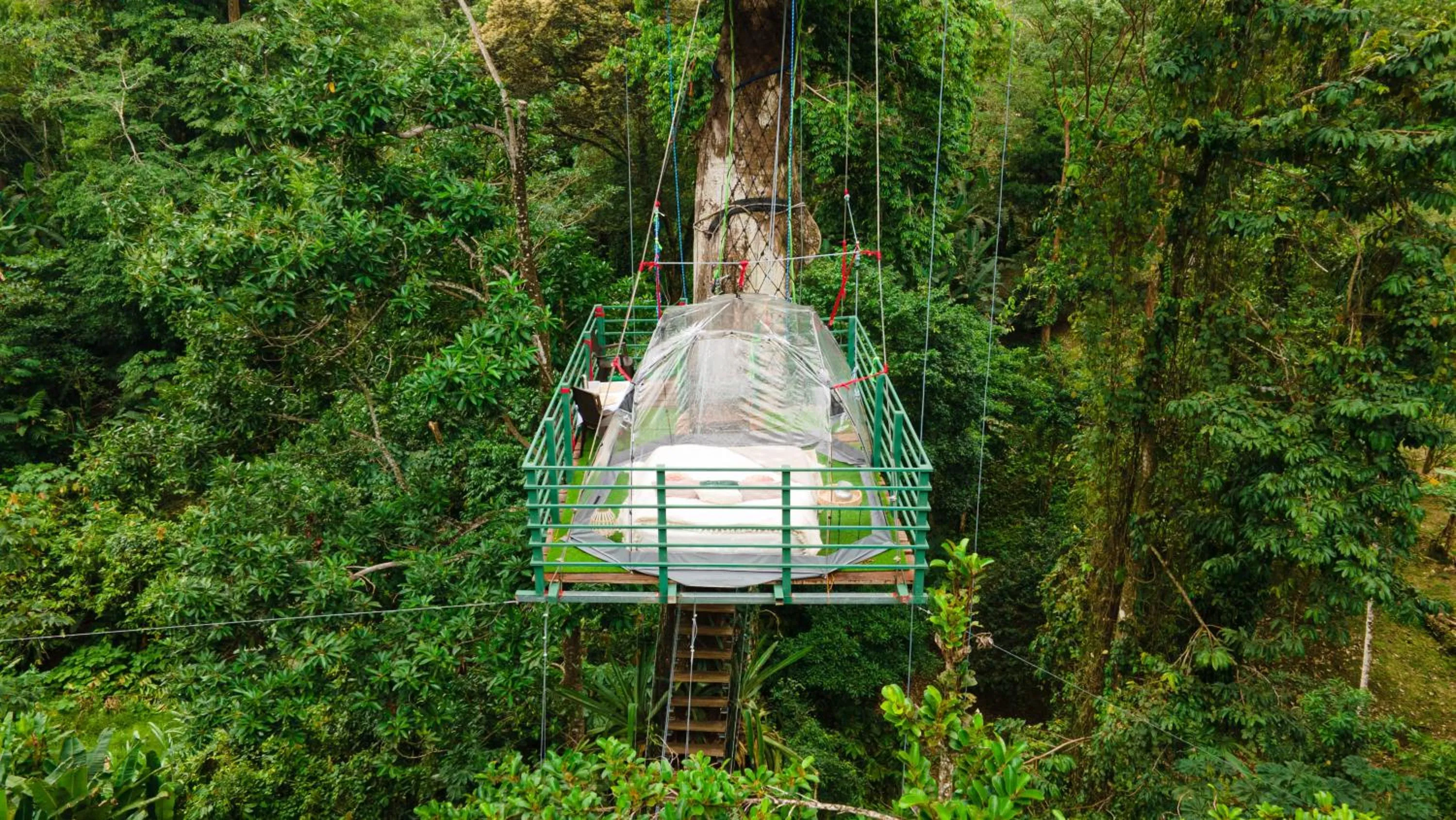 Natural landscape in The Green Jungle & Tree House Caribe