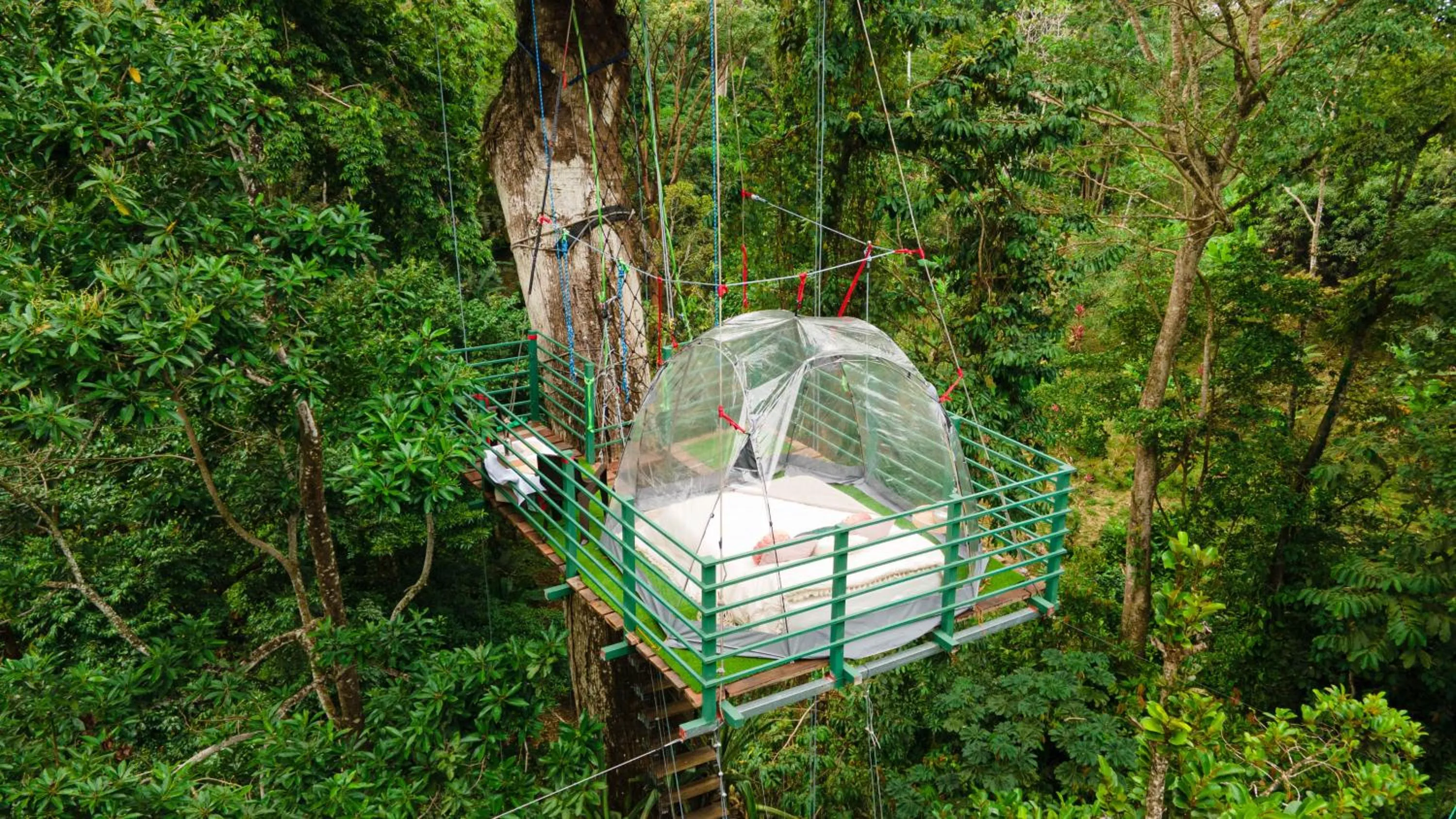 Natural landscape in The Green Jungle & Tree House Caribe