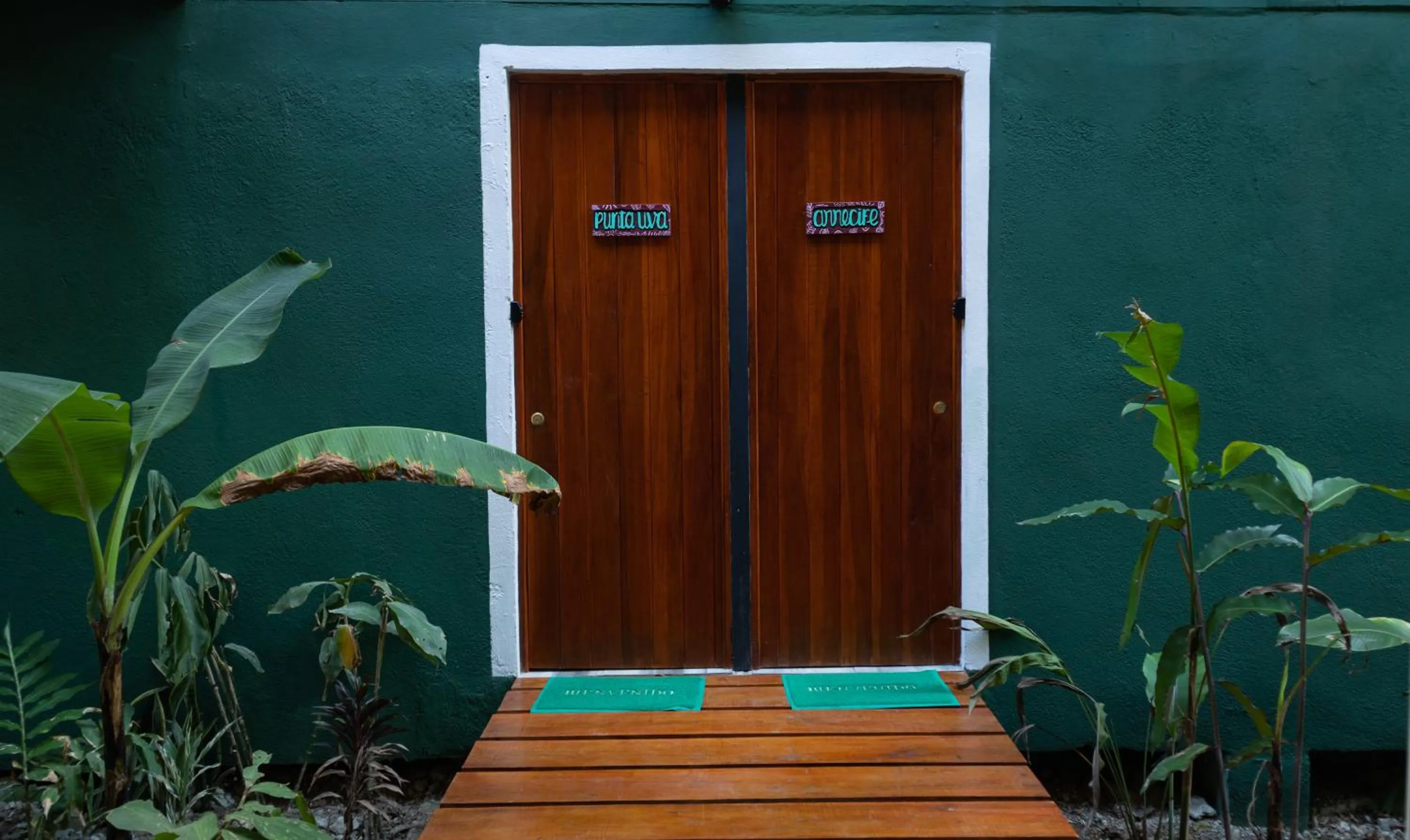 Garden view in The Green Jungle & Tree House Caribe