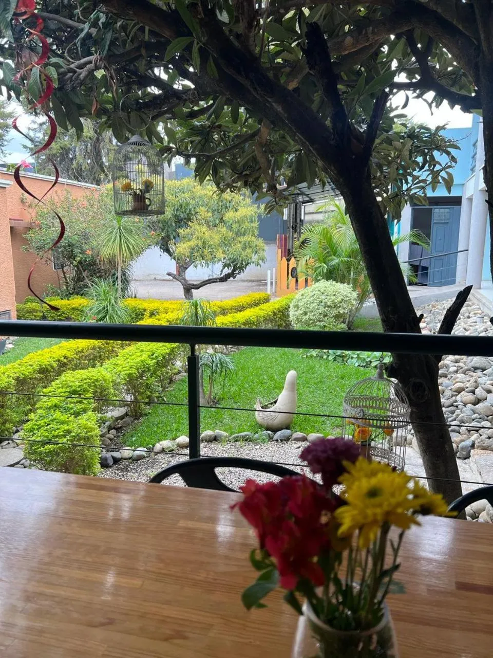 Garden view in Hotel Casa Caelum