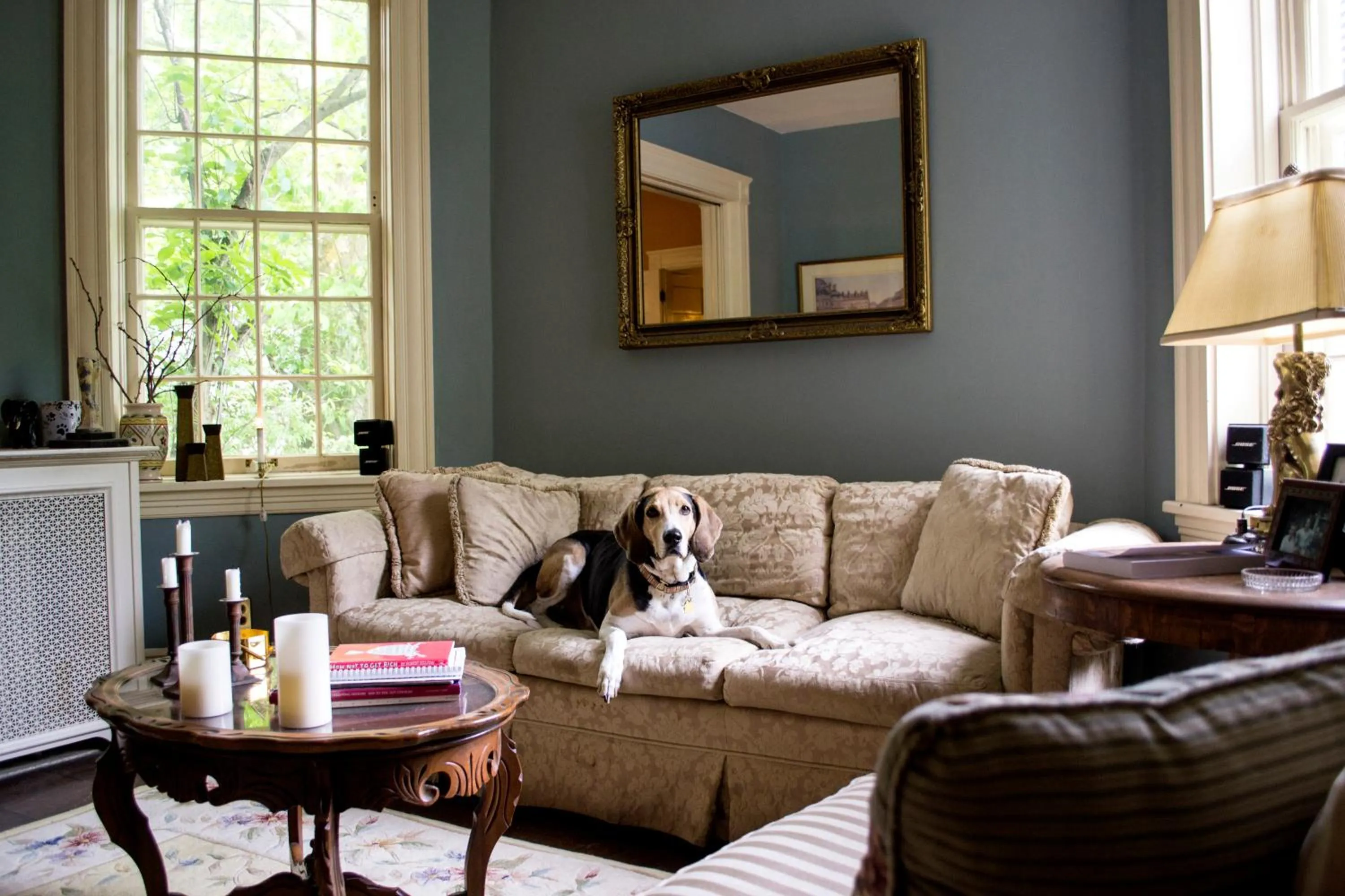 Living room in Clifford House Private Home B&B
