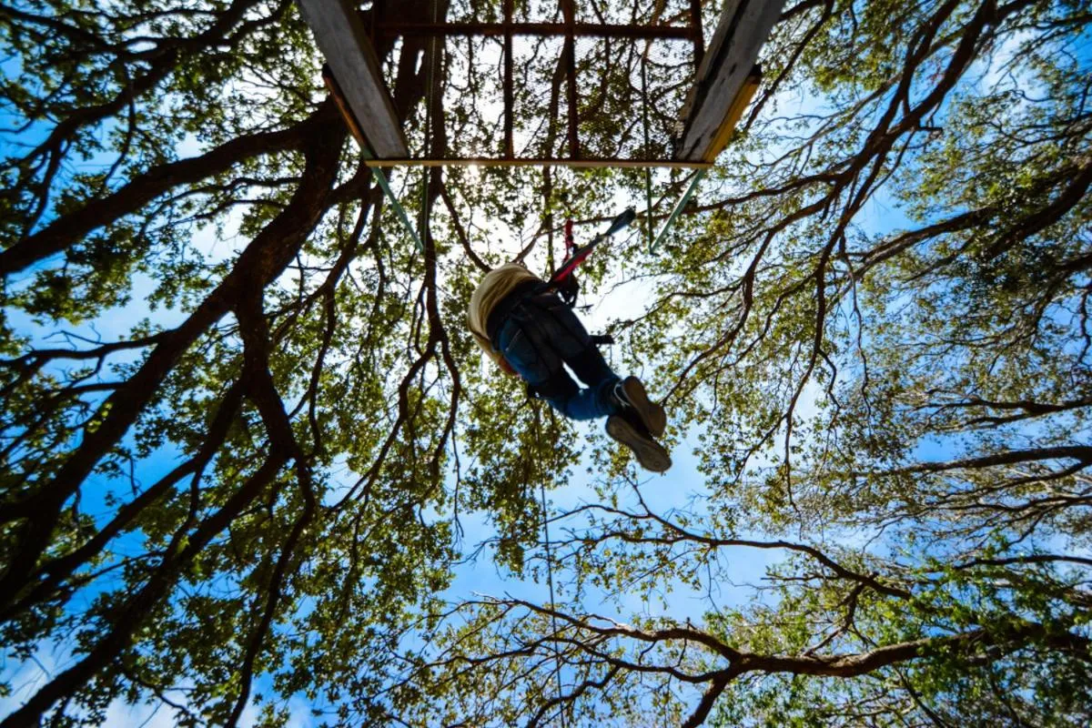 Property building in Vida Aventura Ranch