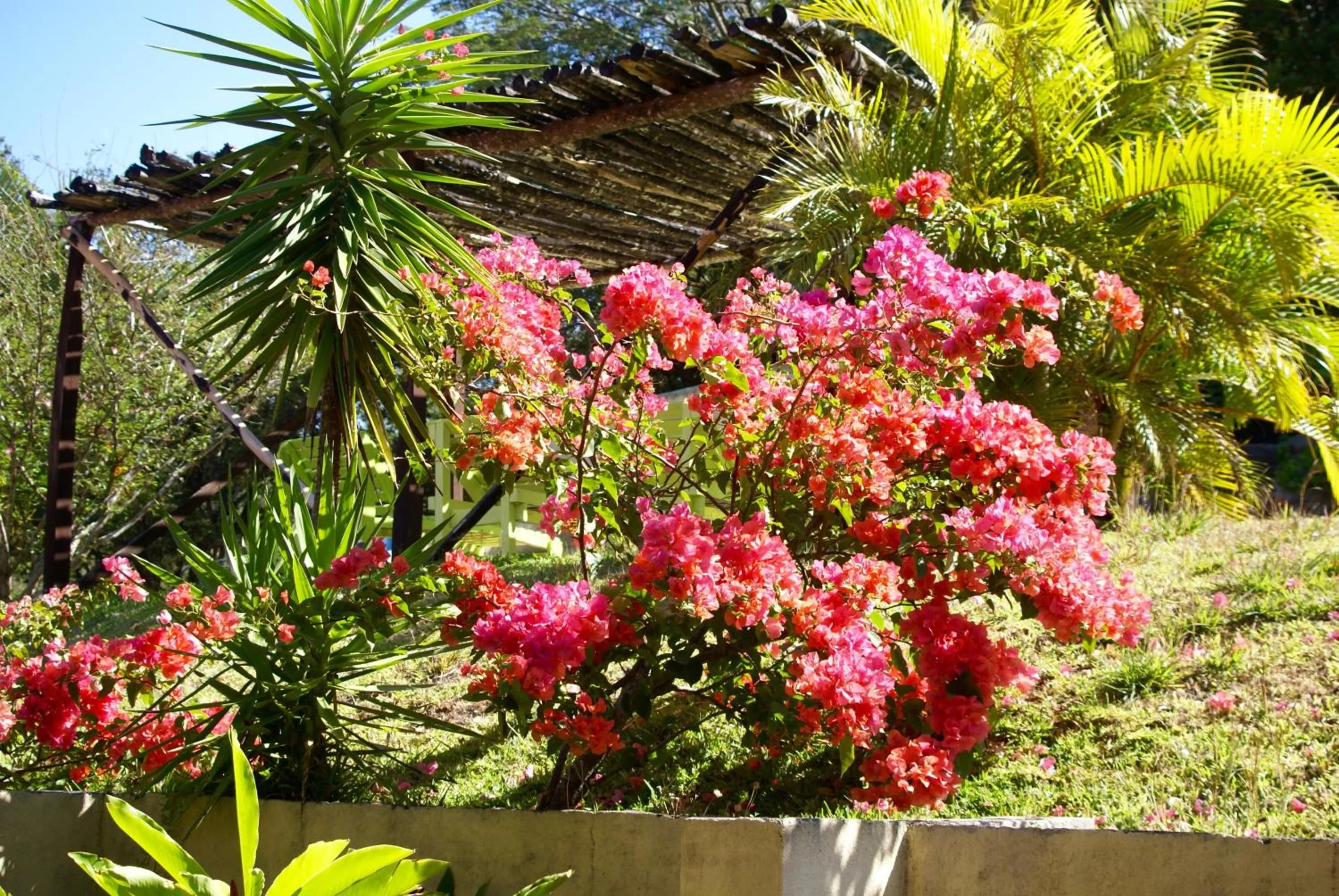 Garden in Vida Aventura Ranch