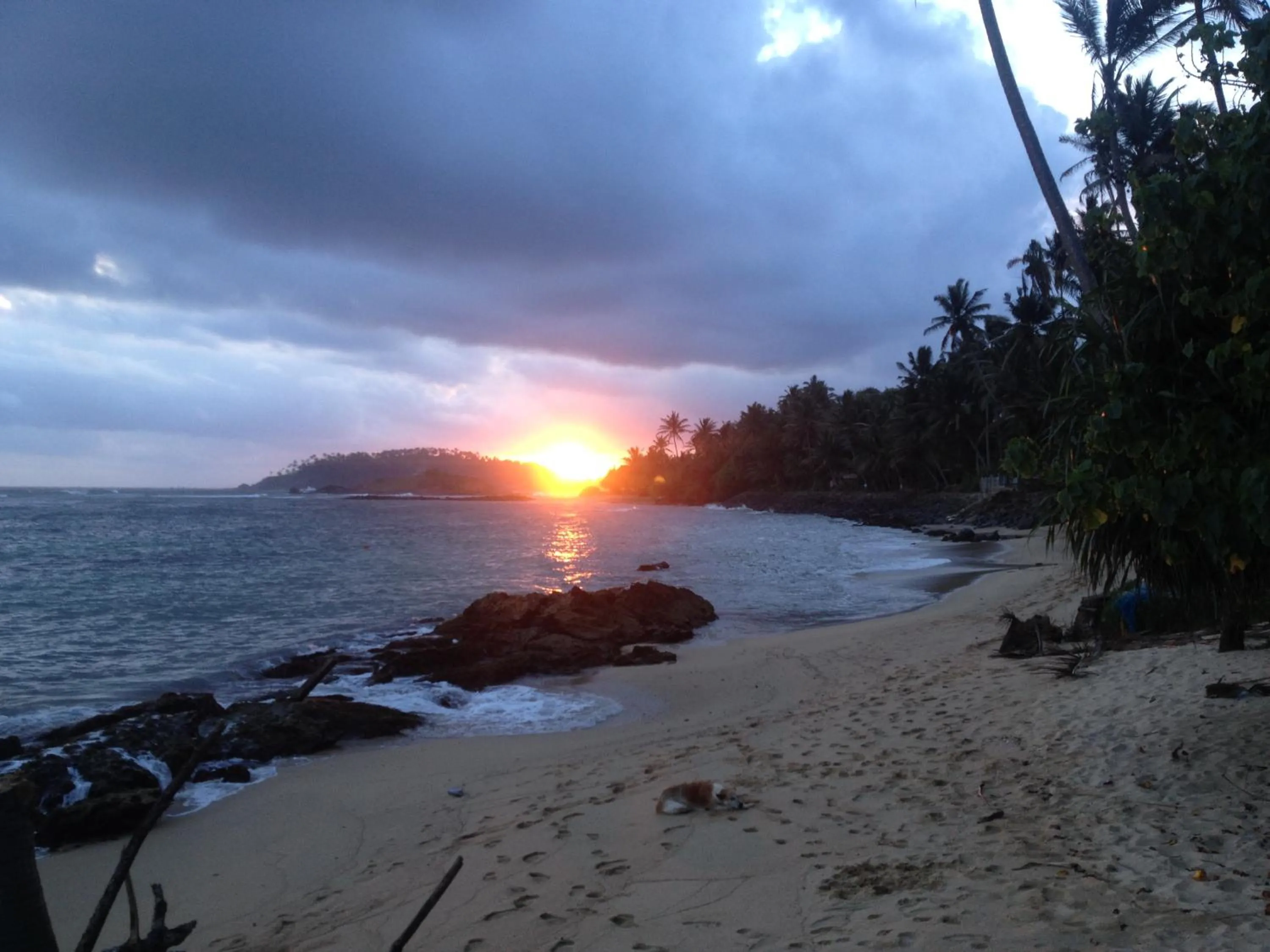 Beach in Mirissa Seastar