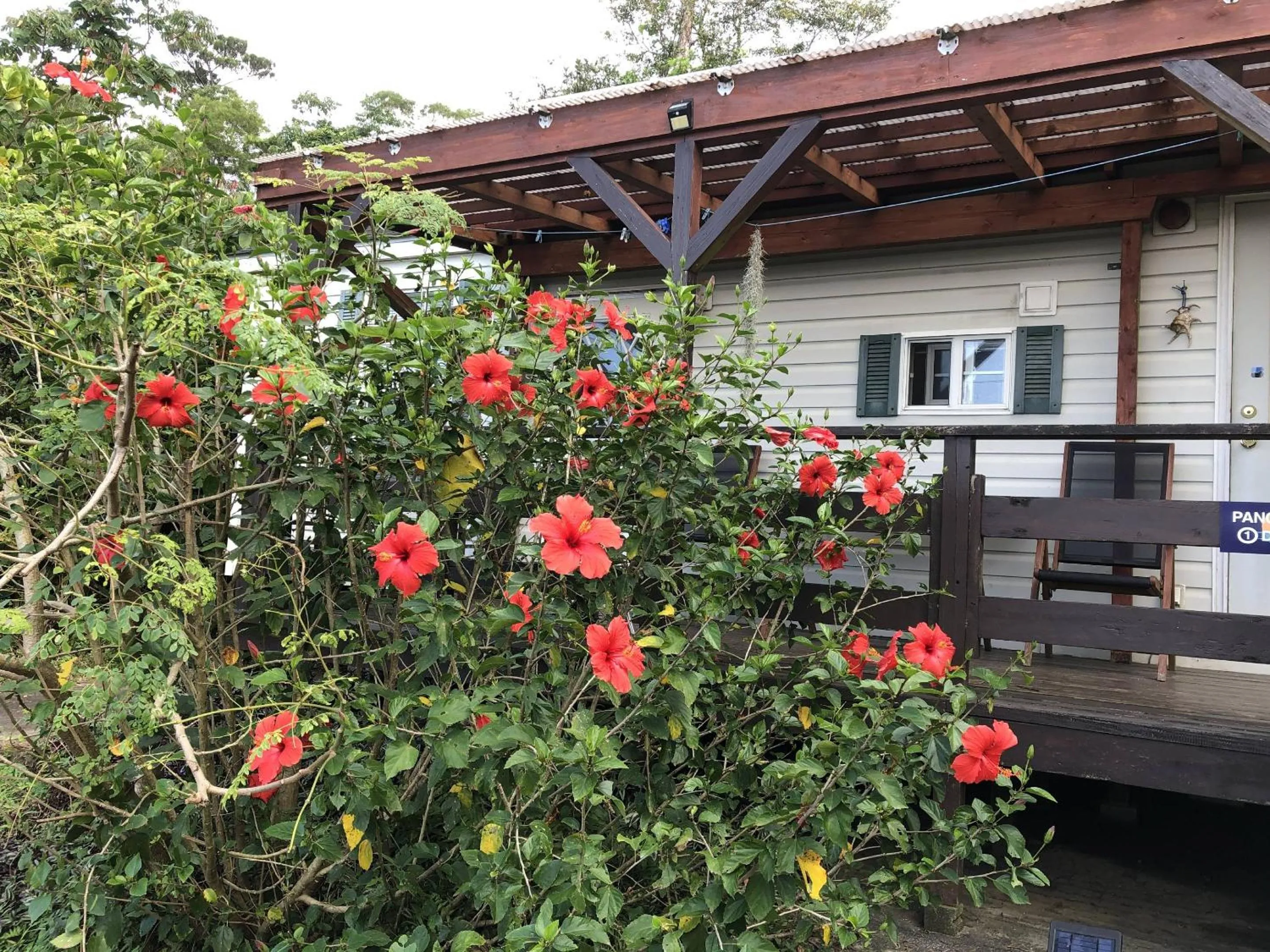 Property building in PANORAMA Ocean View Cottage