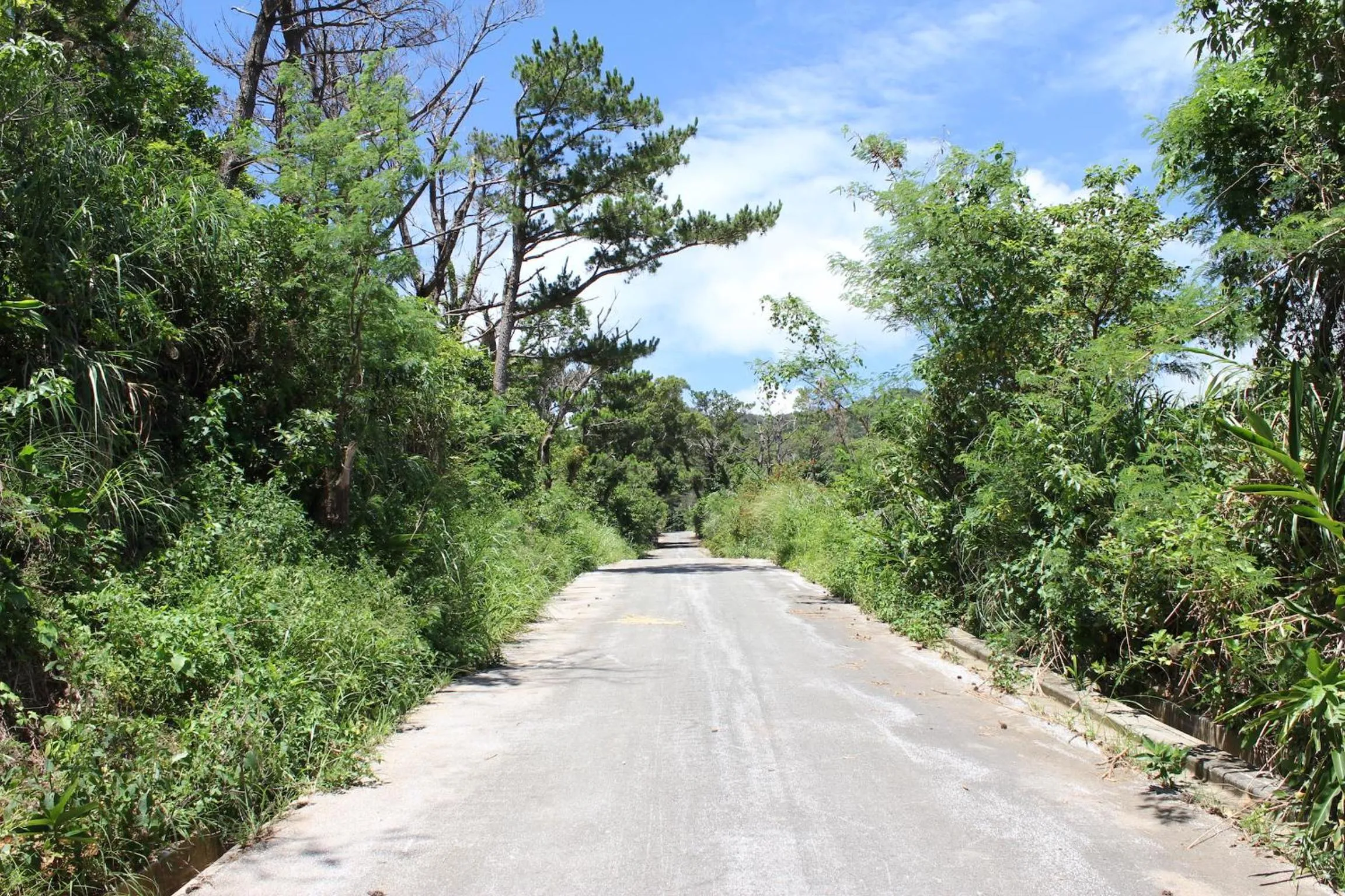 Off site in PANORAMA Ocean View Cottage