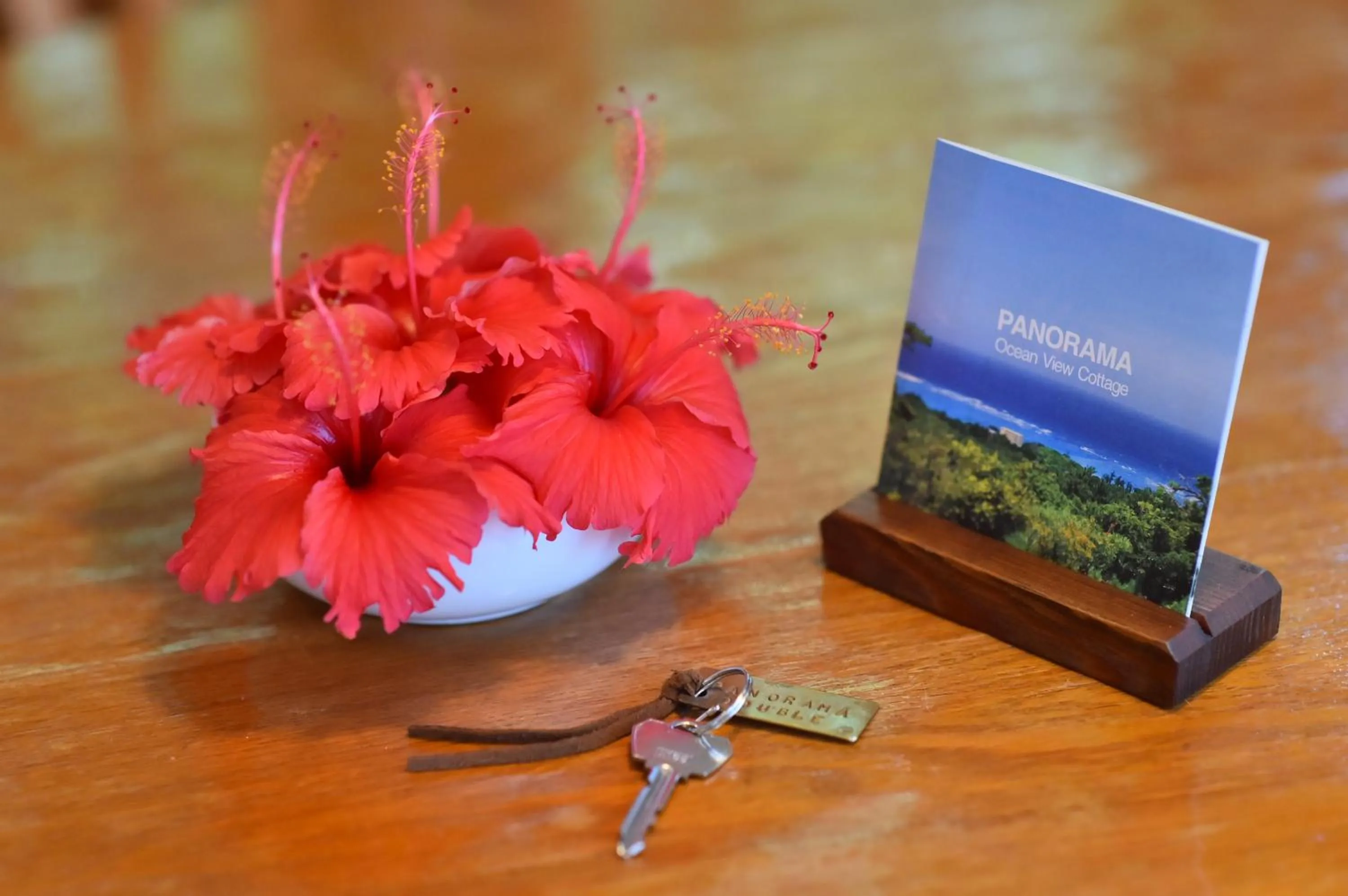 Decorative detail in PANORAMA Ocean View Cottage
