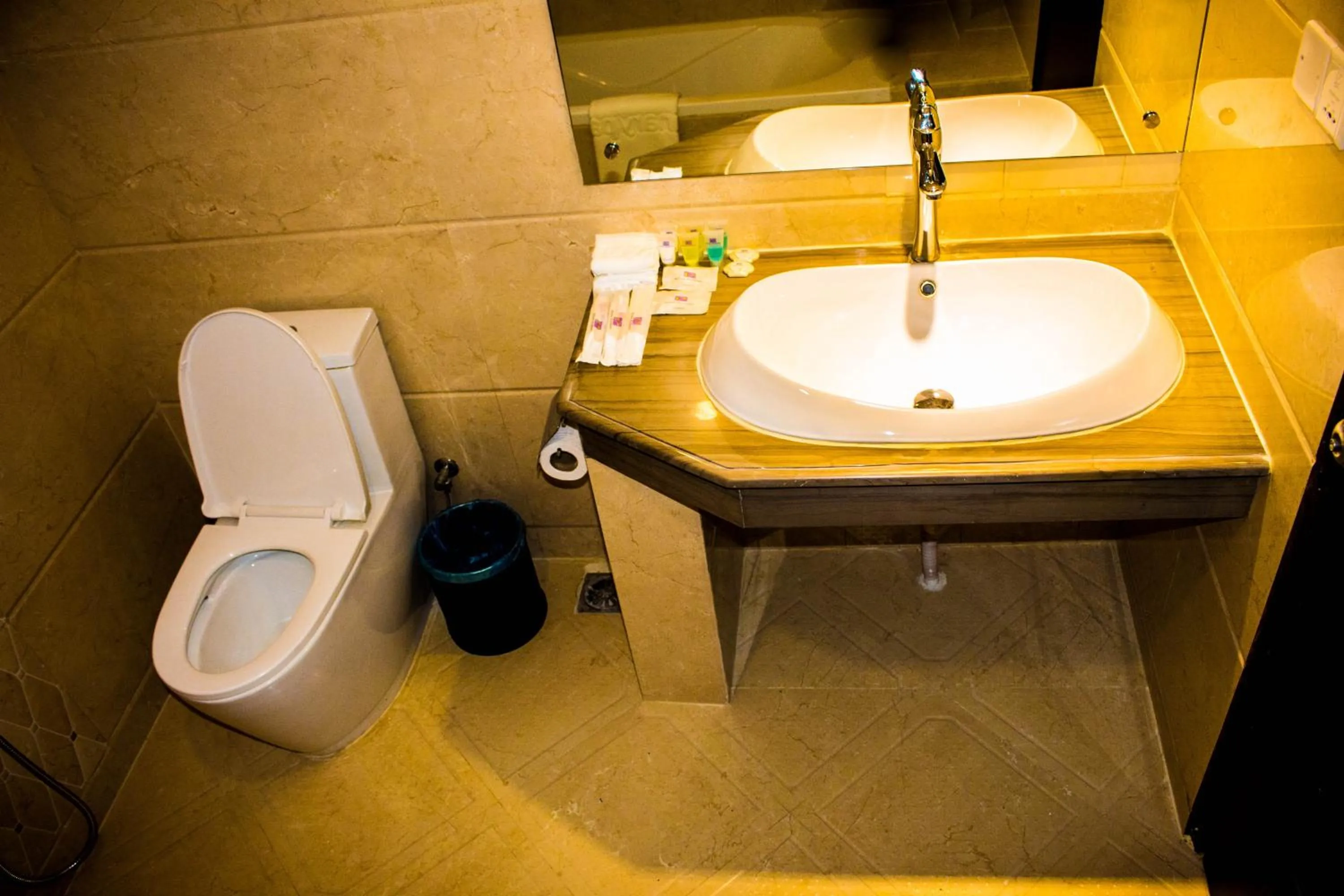 Bathroom in Hotel Bengal Canary Park