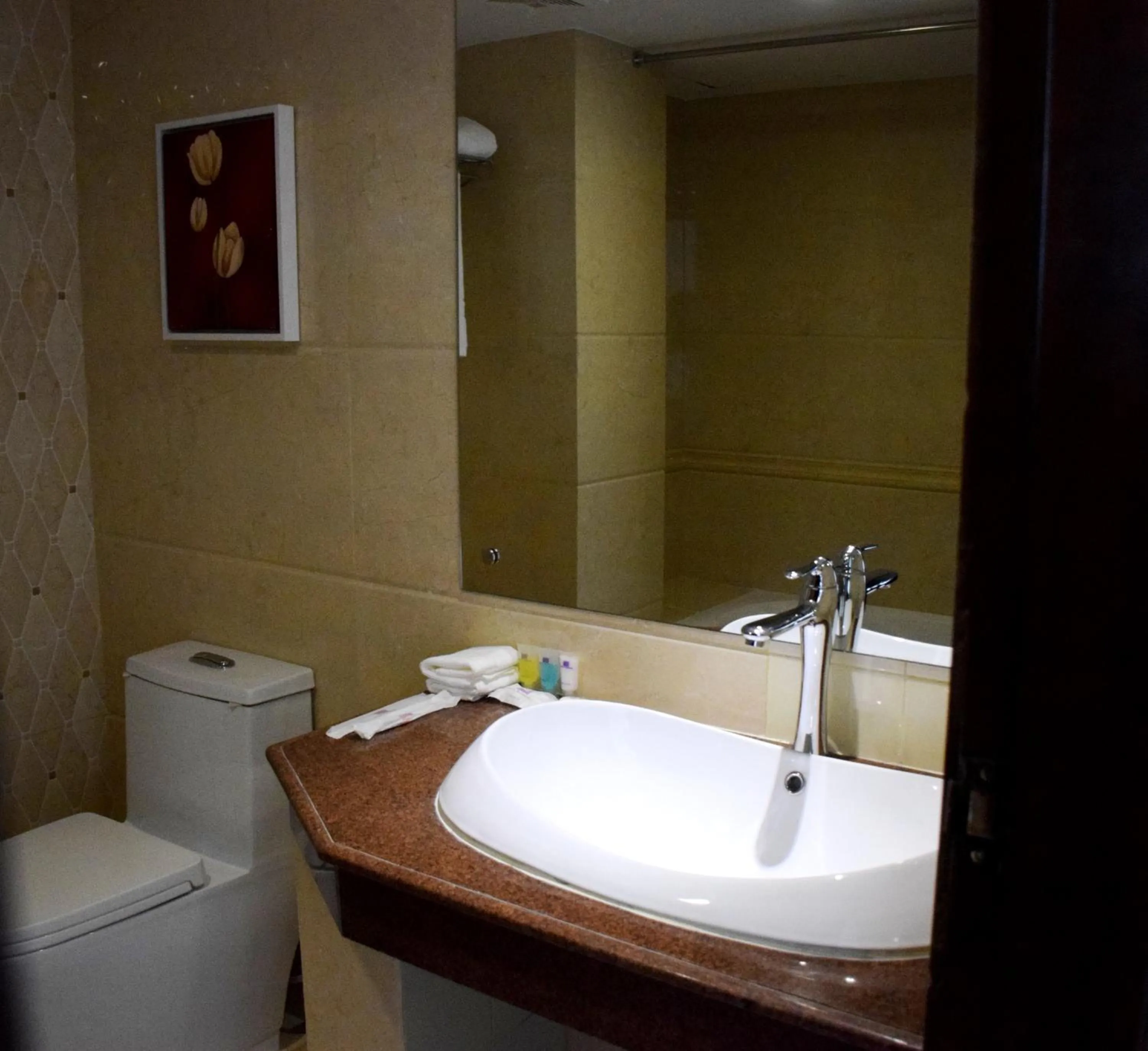 Bathroom in Hotel Bengal Canary Park