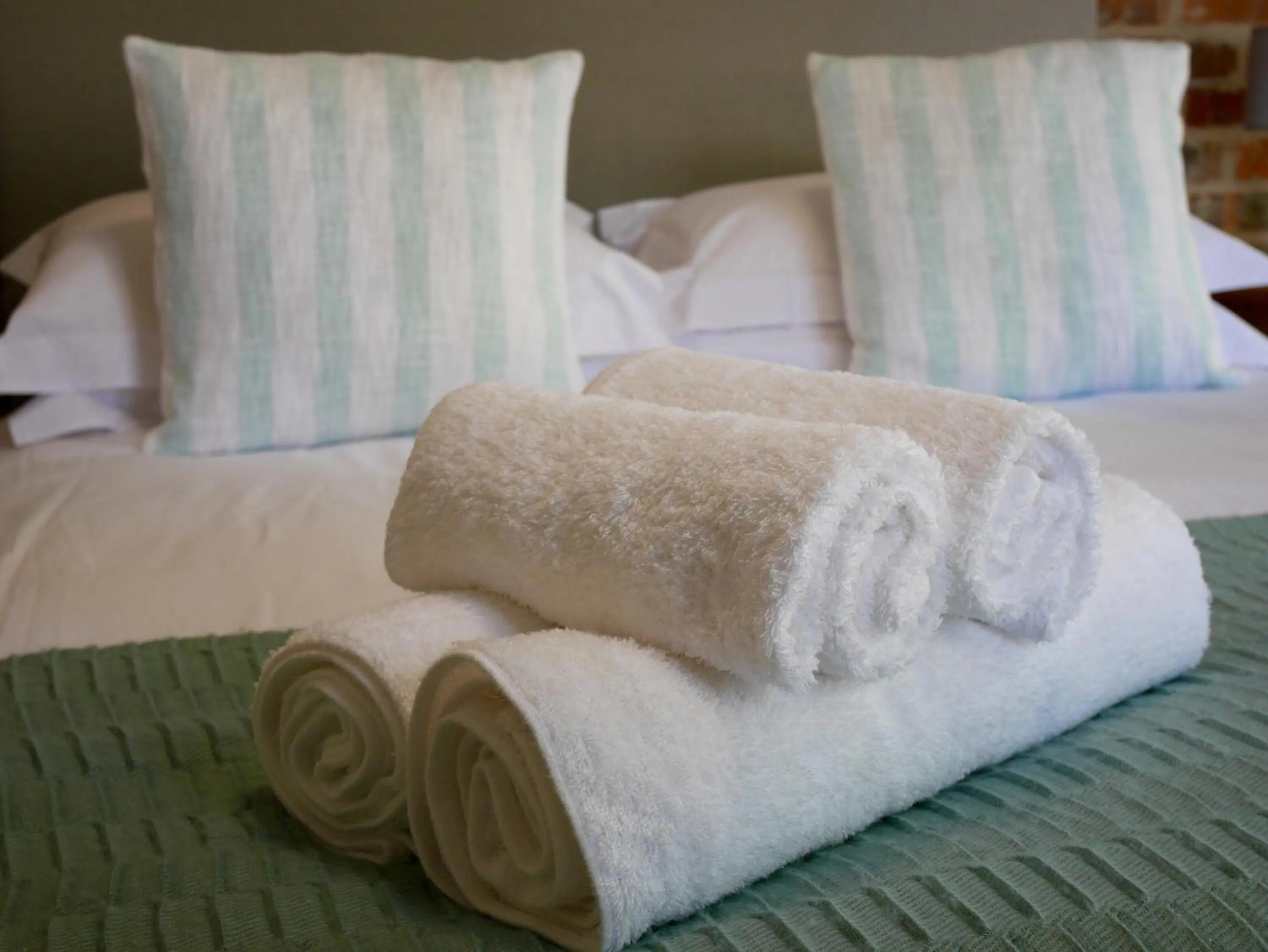 Other, Bed in The Garden Shed Guest House