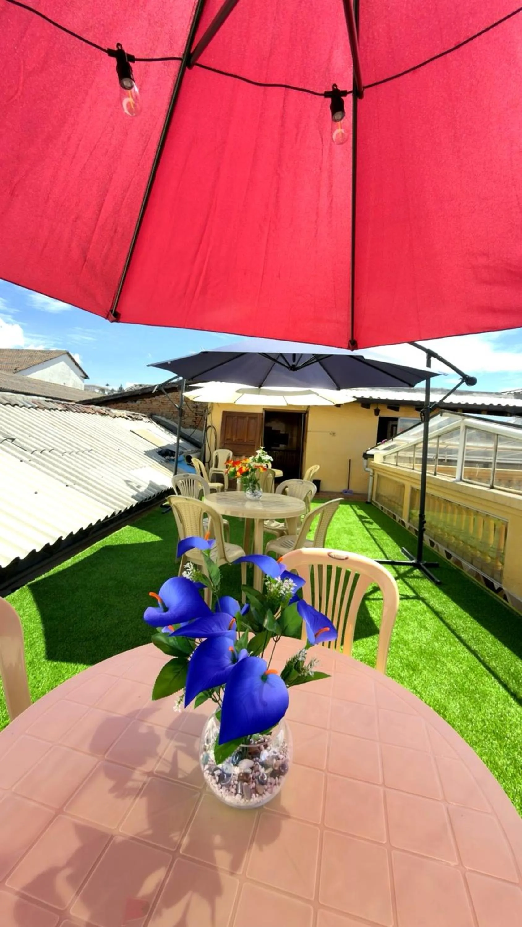Viena Internacional B&B - Rooftop