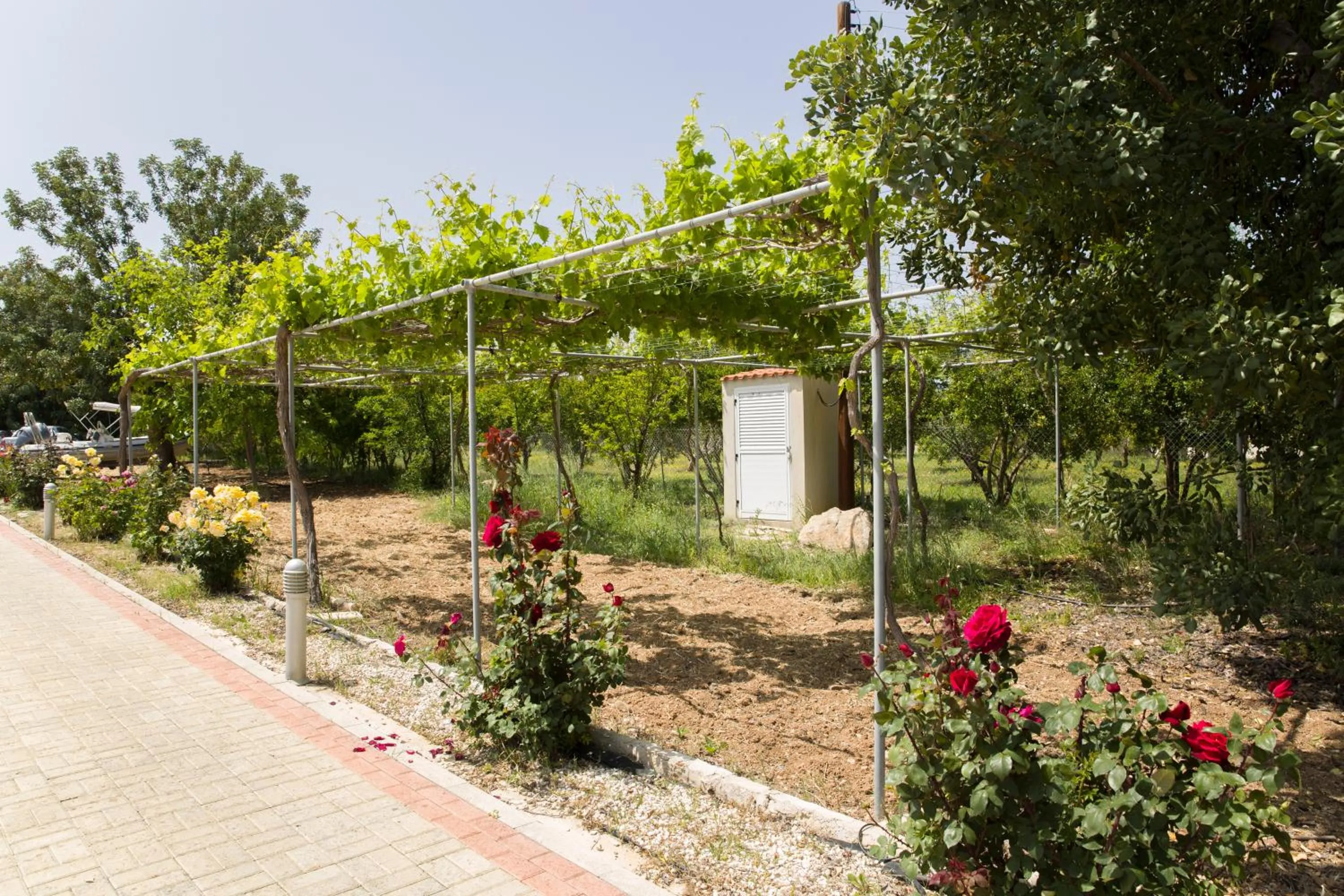 BBQ facilities in Eliofos Luxury Villa