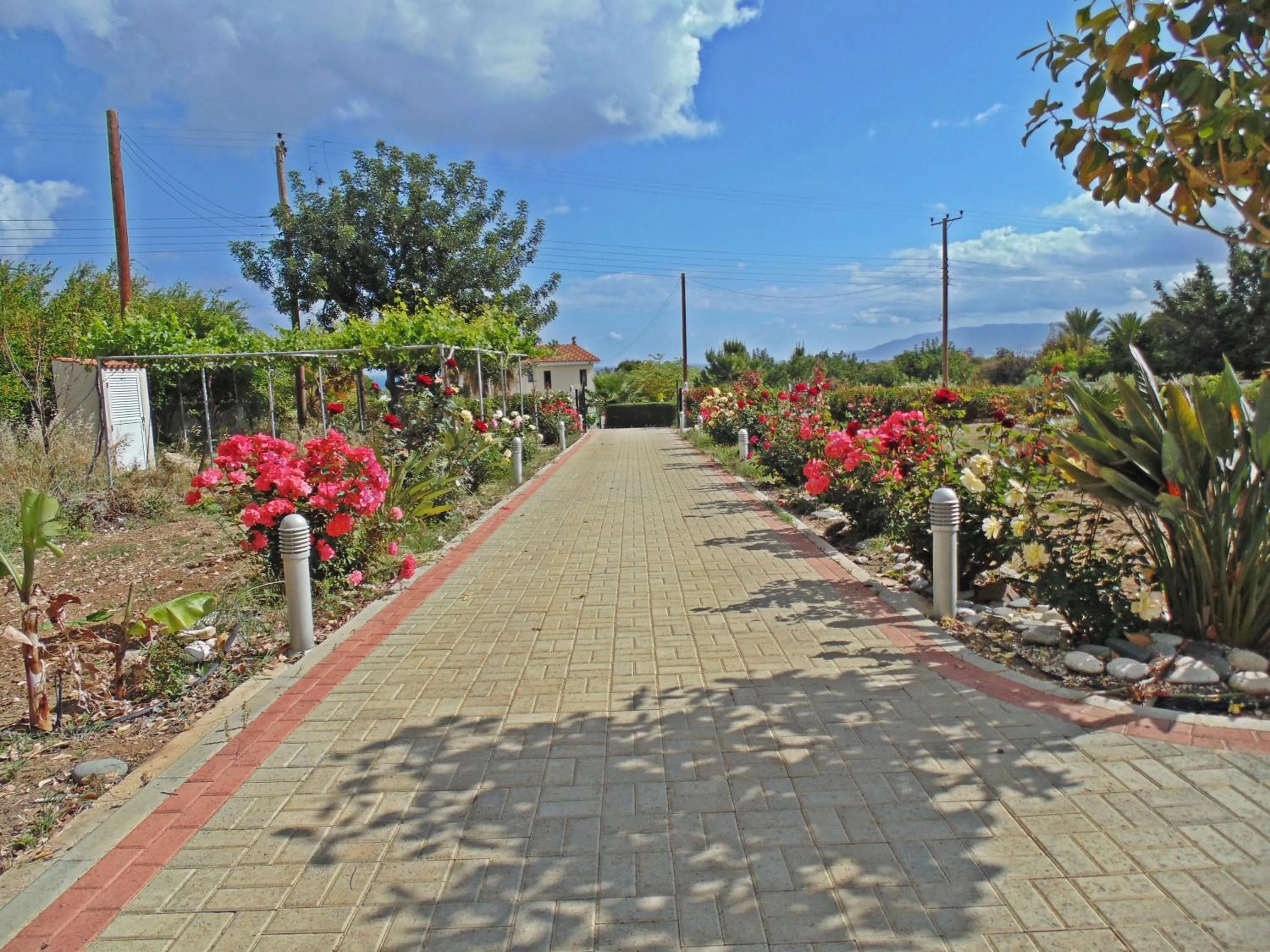 Property building in Eliofos Luxury Villa