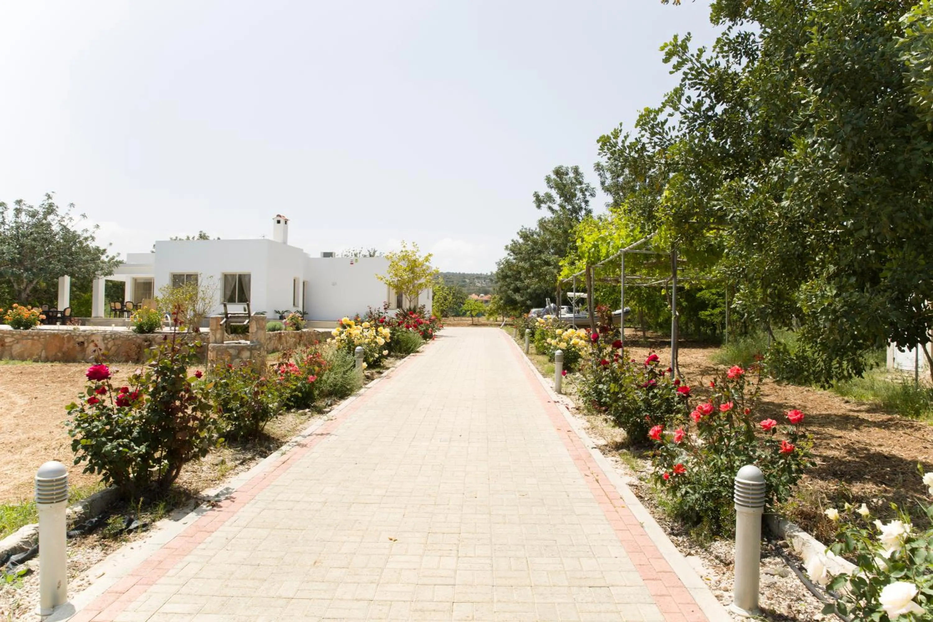 Garden in Eliofos Luxury Villa