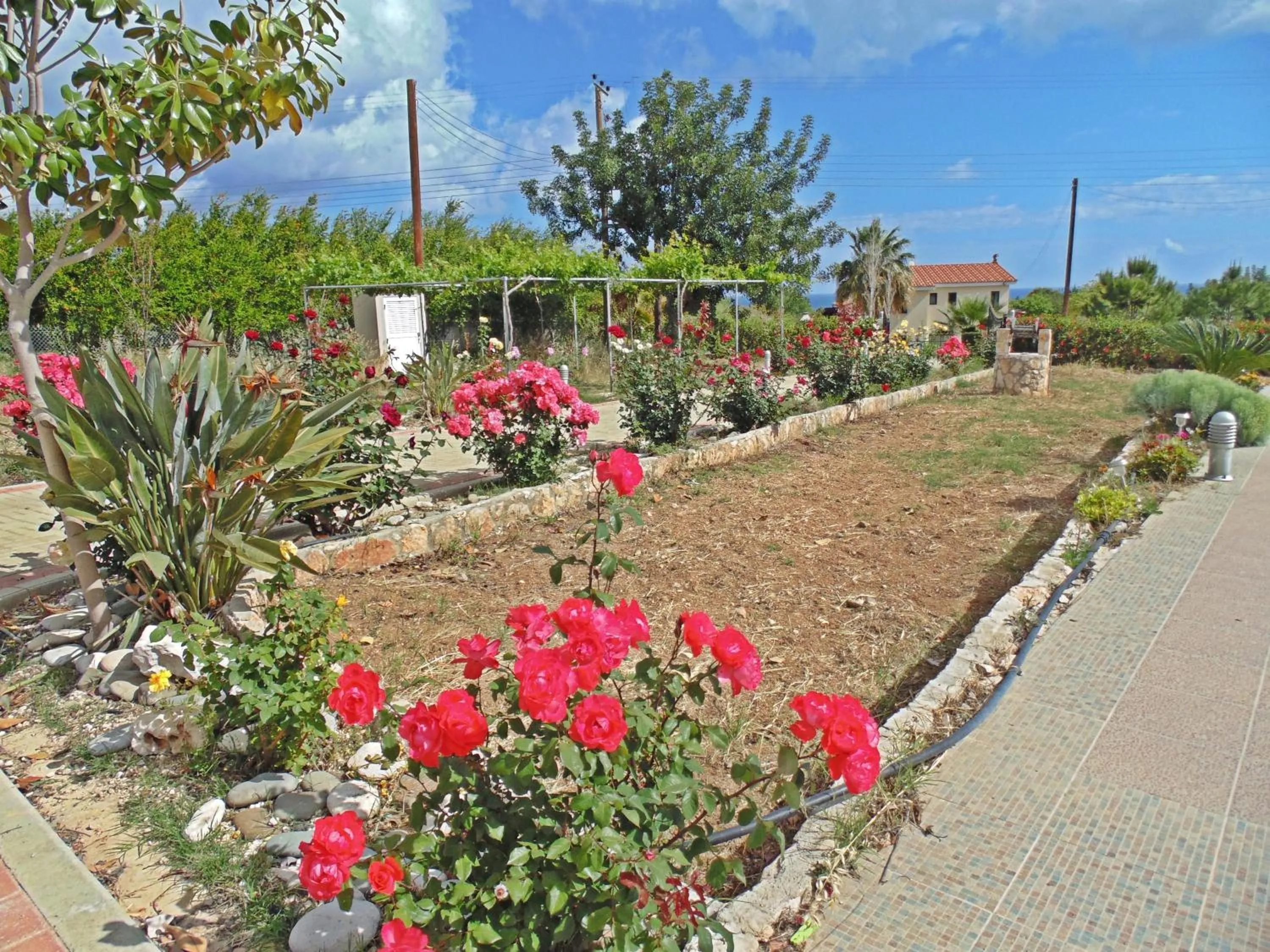 Facade/entrance in Eliofos Luxury Villa