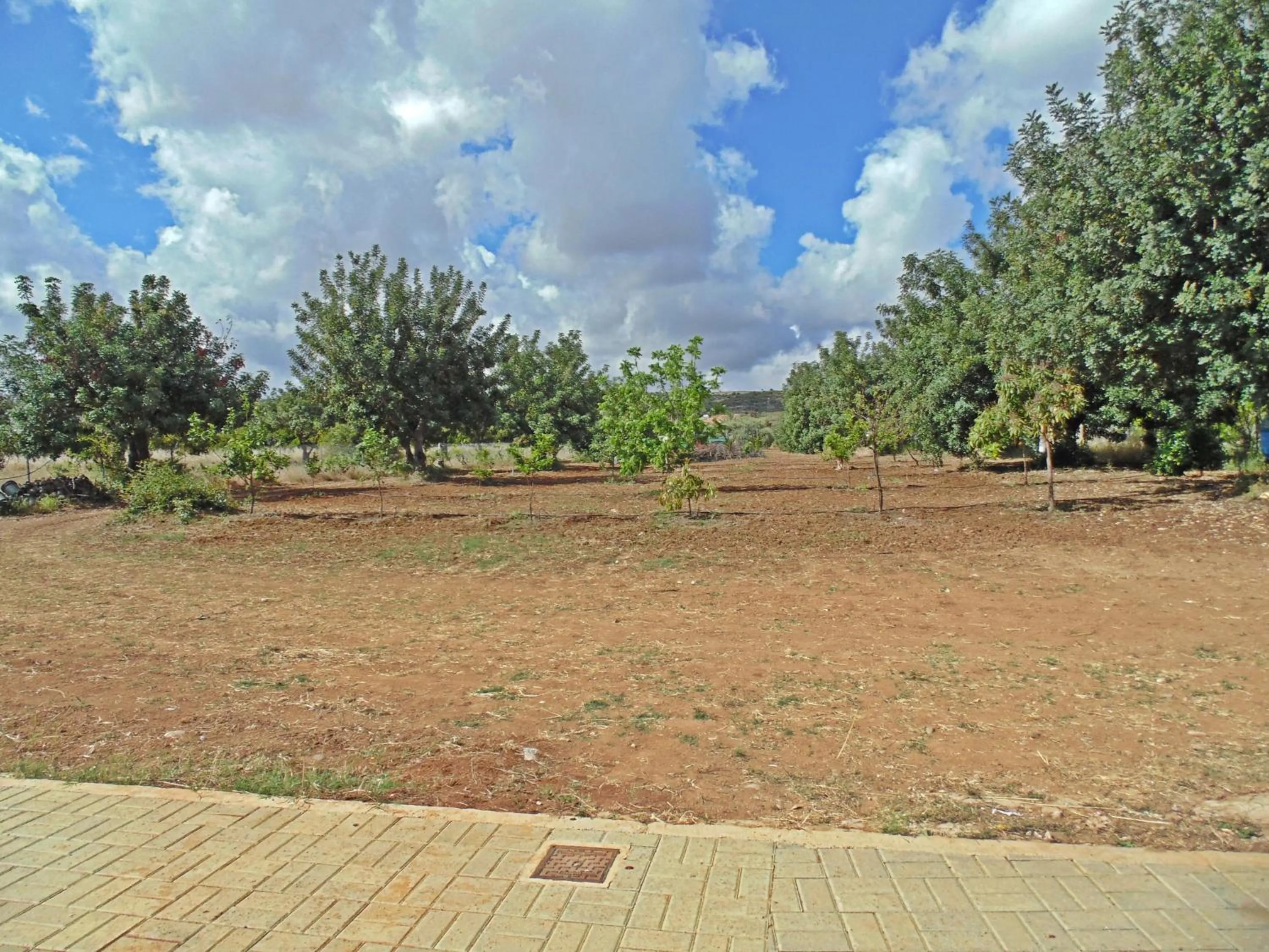 Garden in Eliofos Luxury Villa