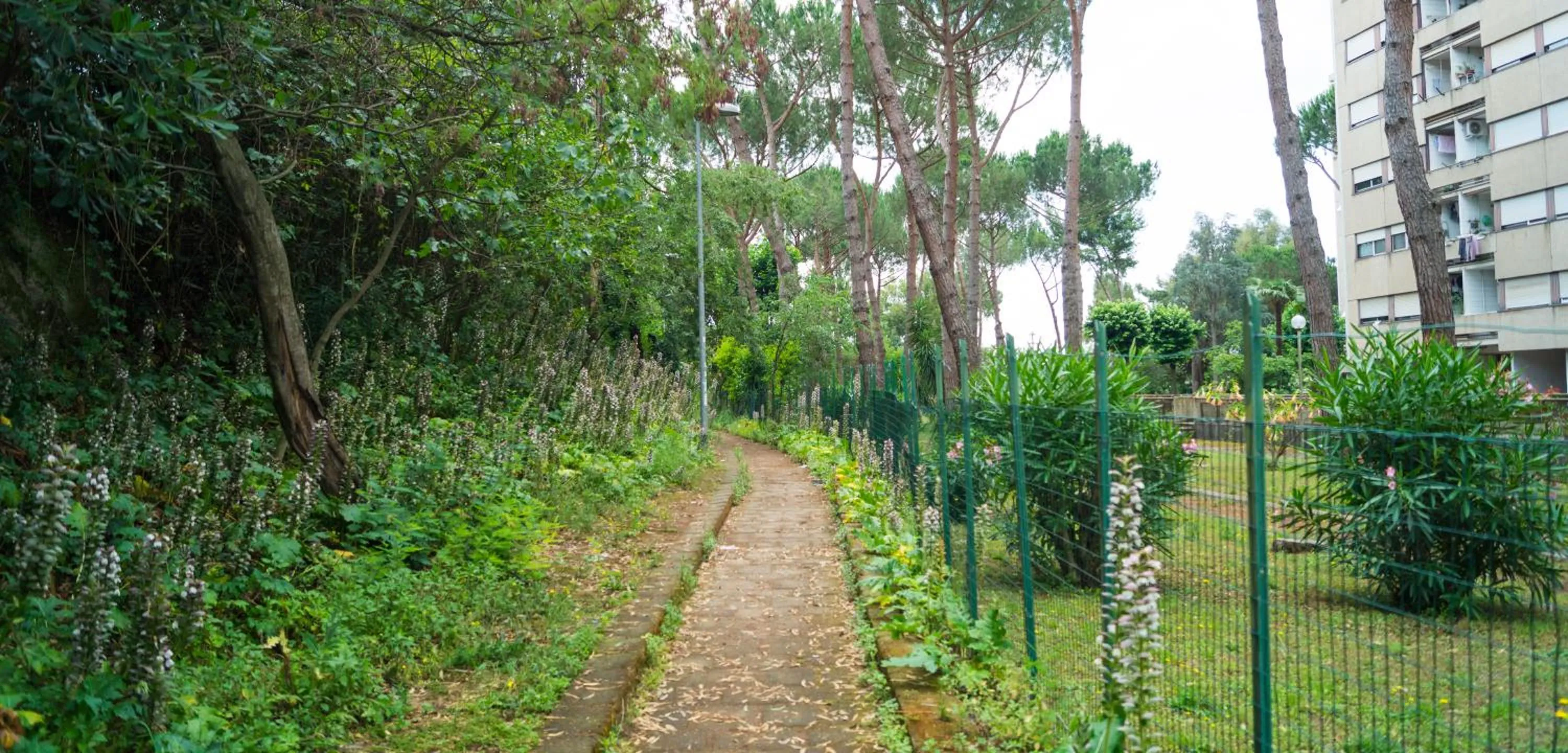 Neighbourhood in B&B Interno 8