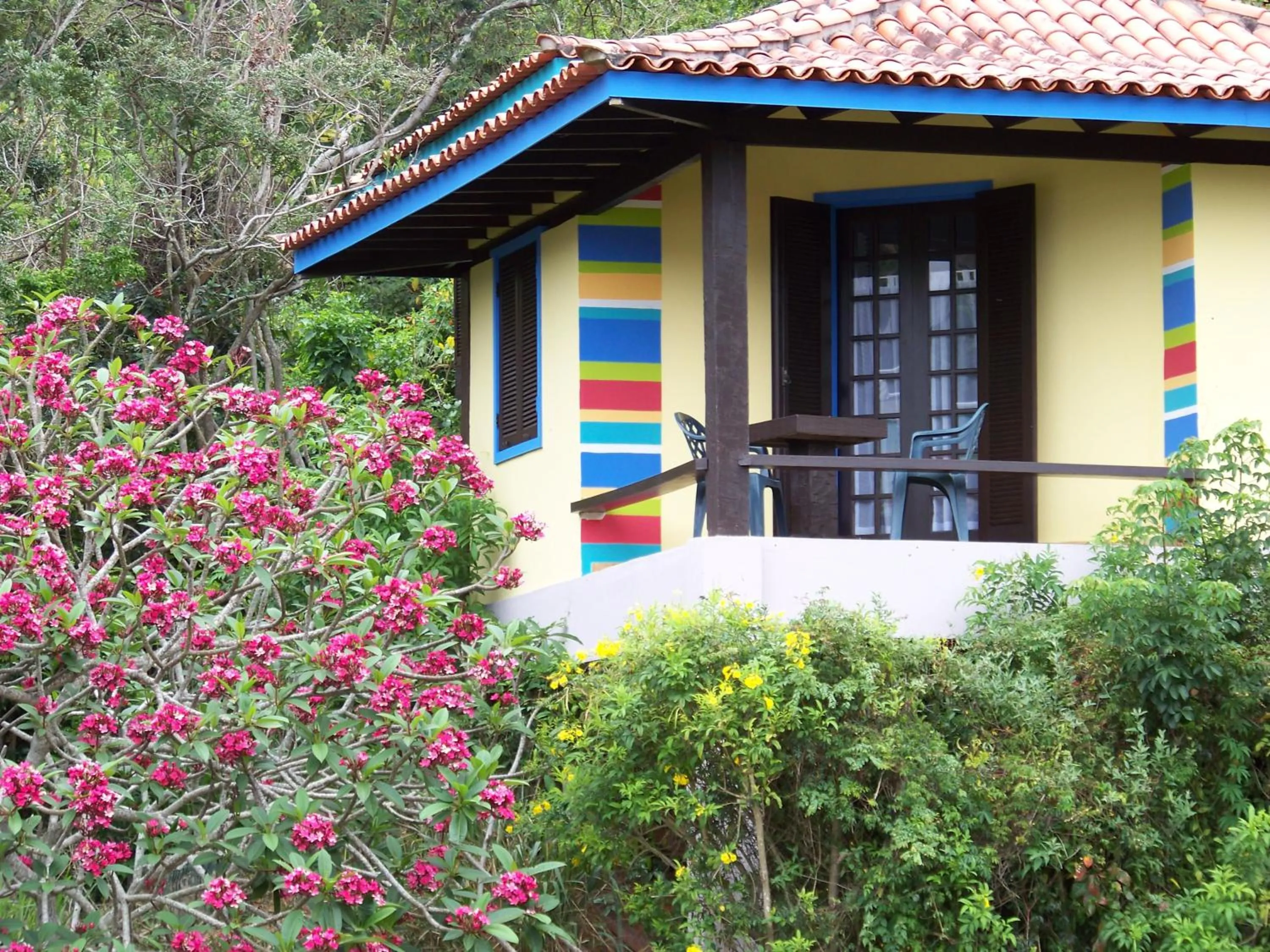 Day in Hibiscus Beach