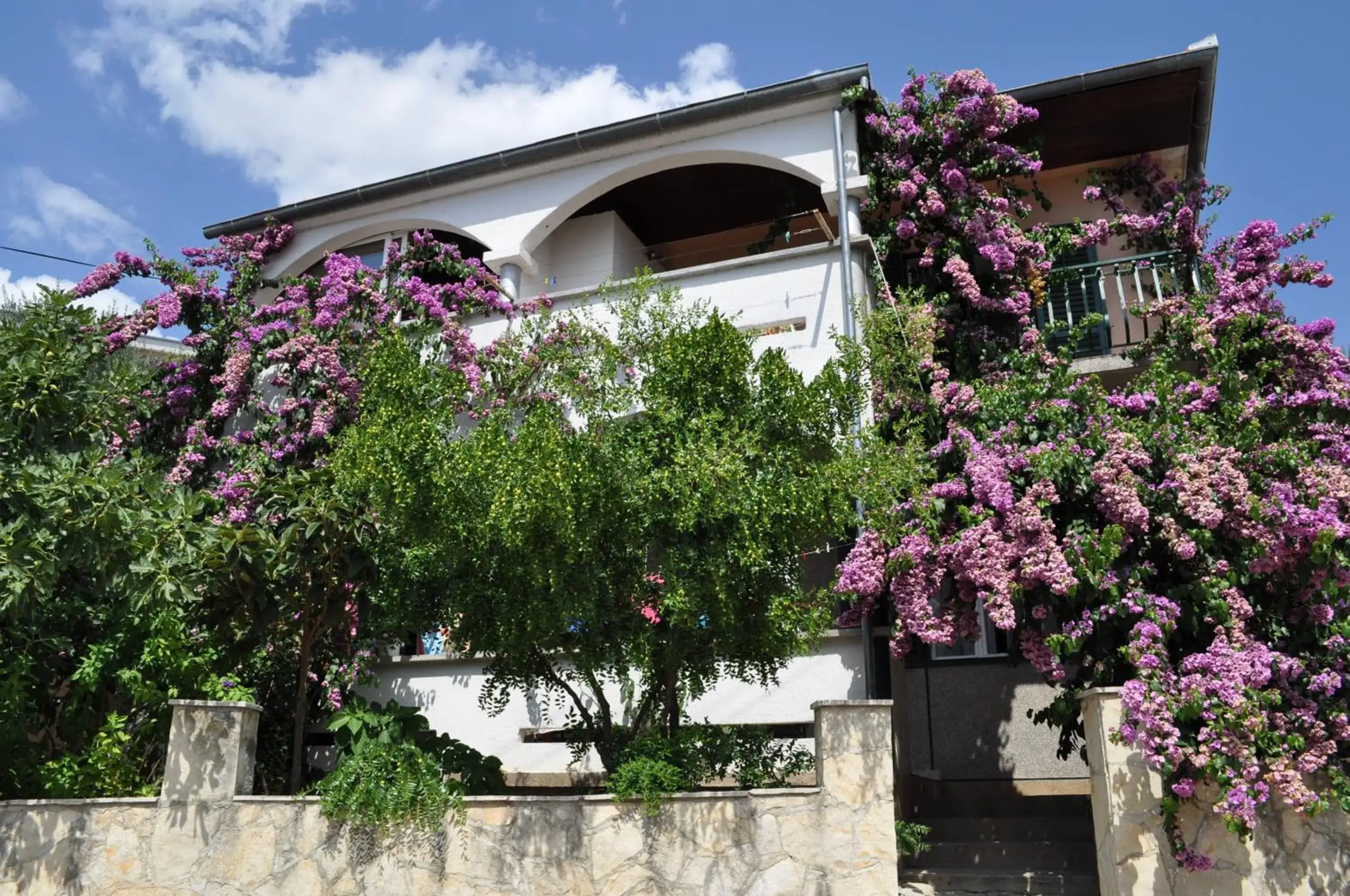Apartments Petar Maksan Apartments Petar Maksan