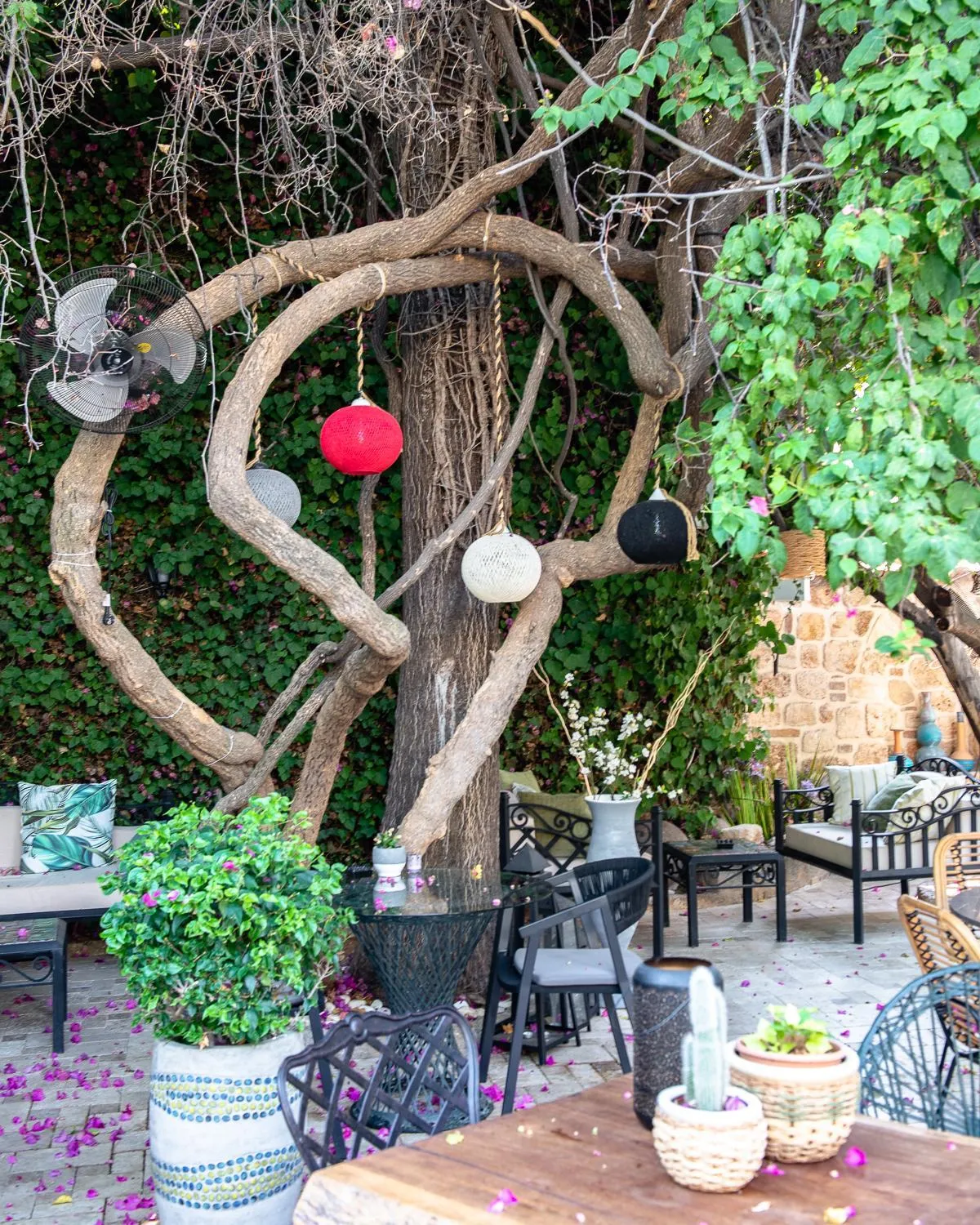 Garden in Tuvana Hotel