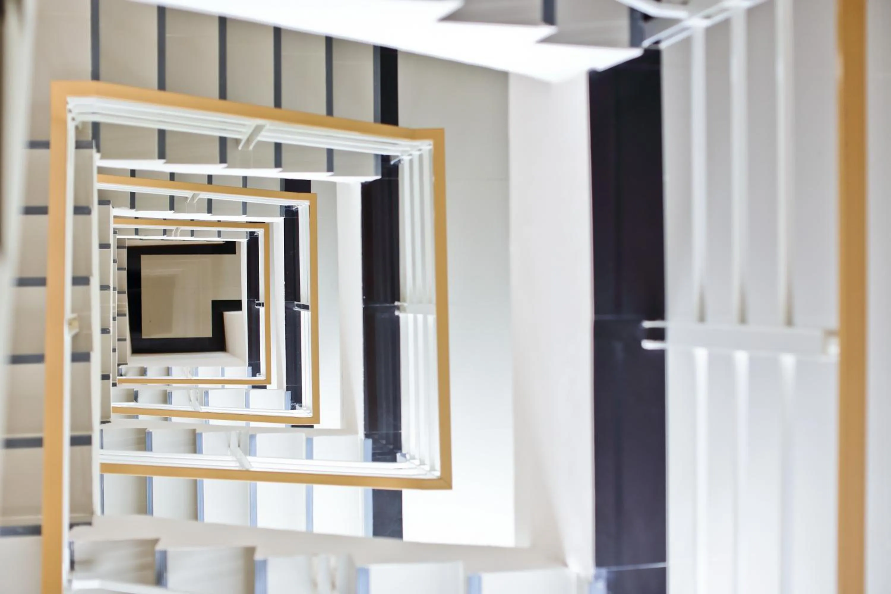 Property building in Rangh Place