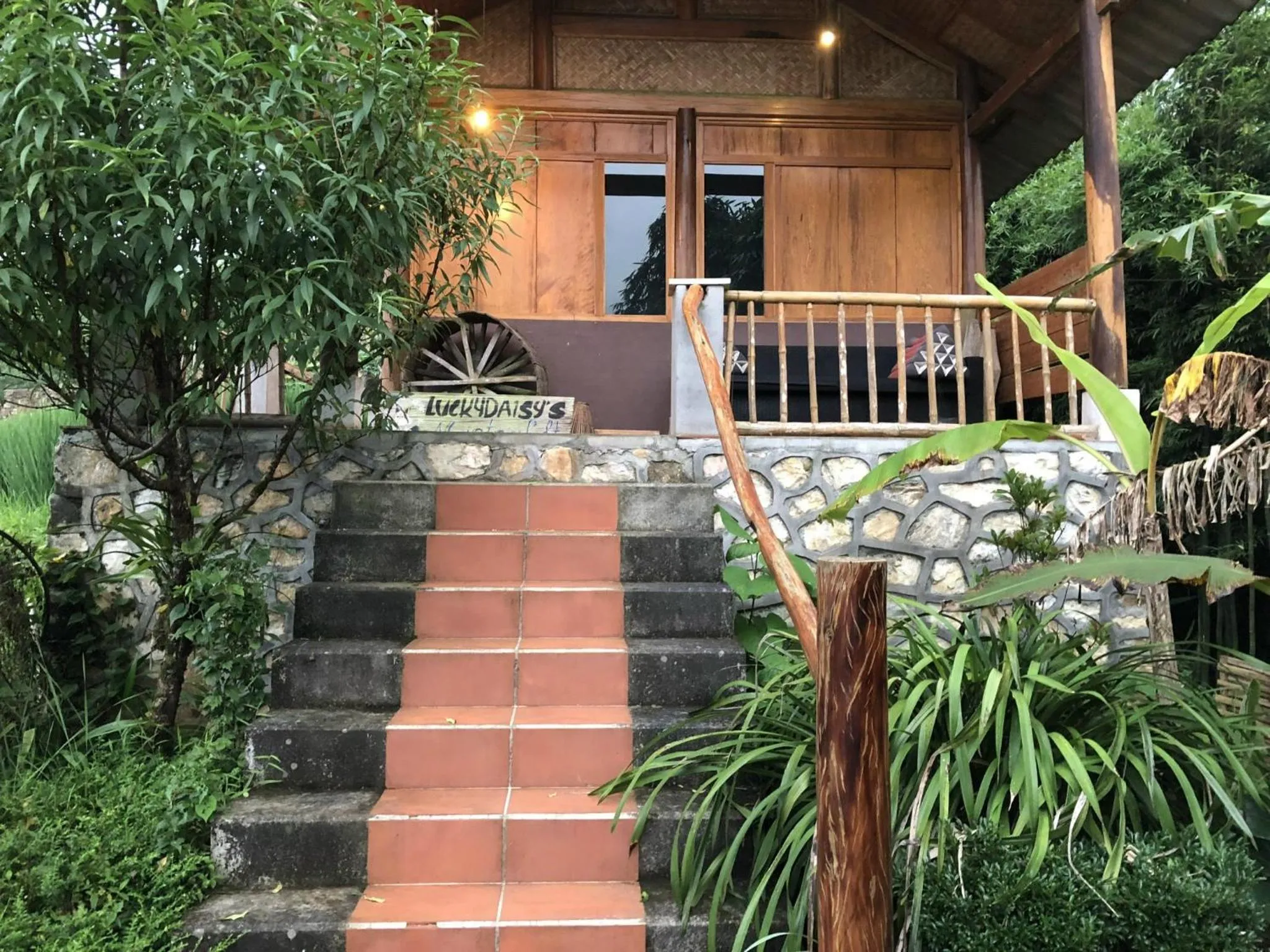 Luckydaisy Buffalo House