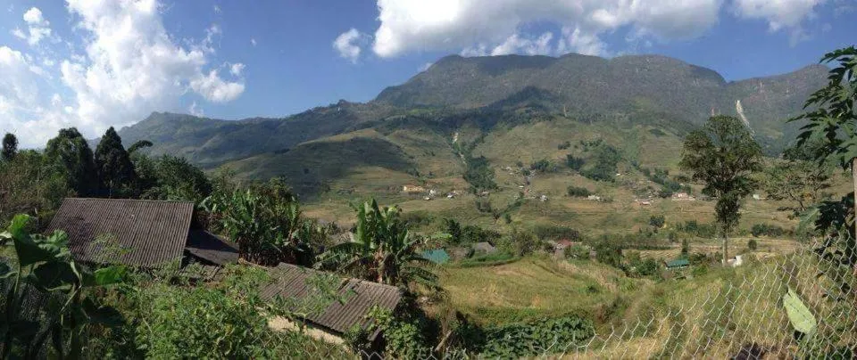 Luckydaisy Buffalo House