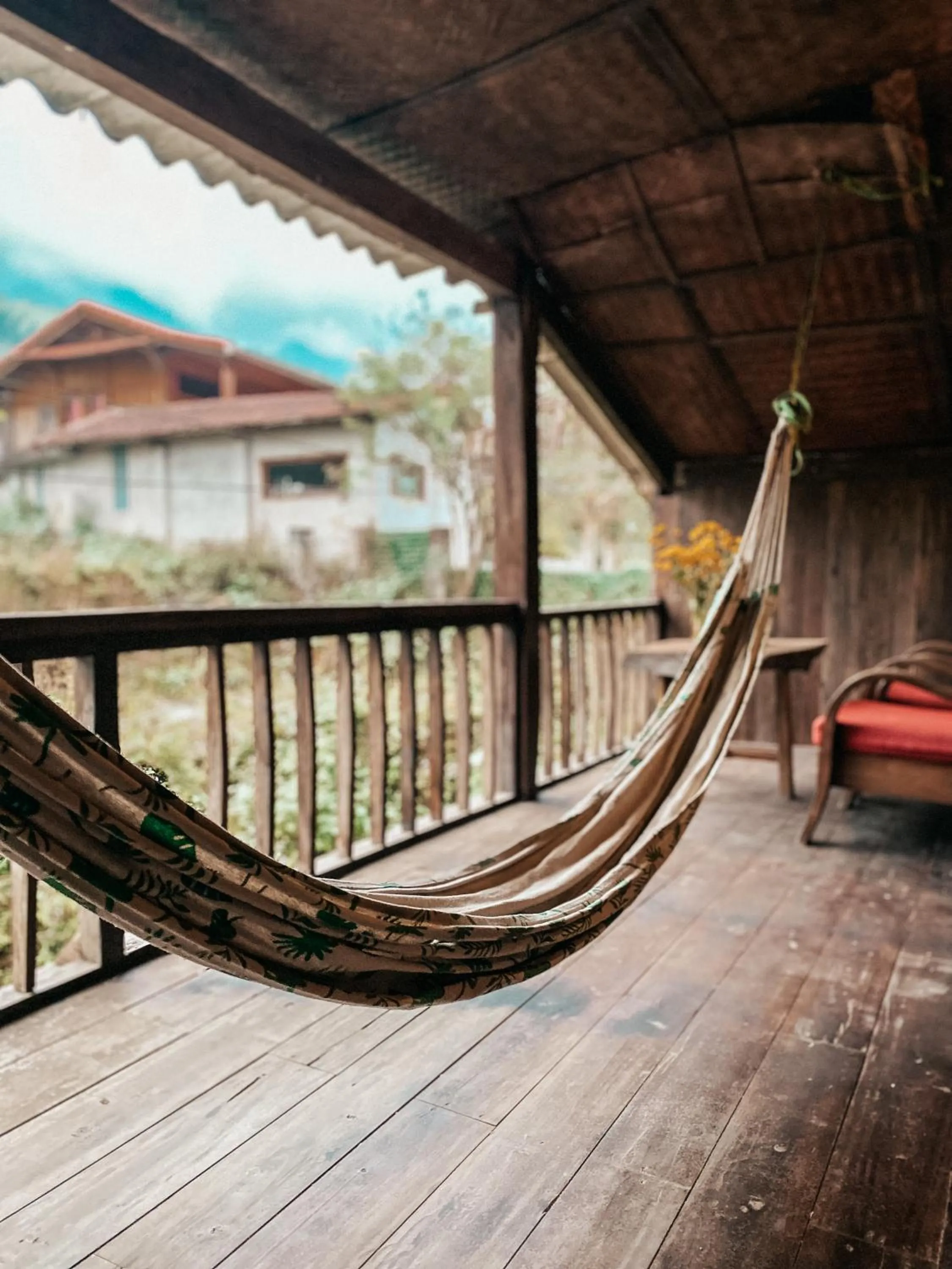 Luckydaisy Buffalo House